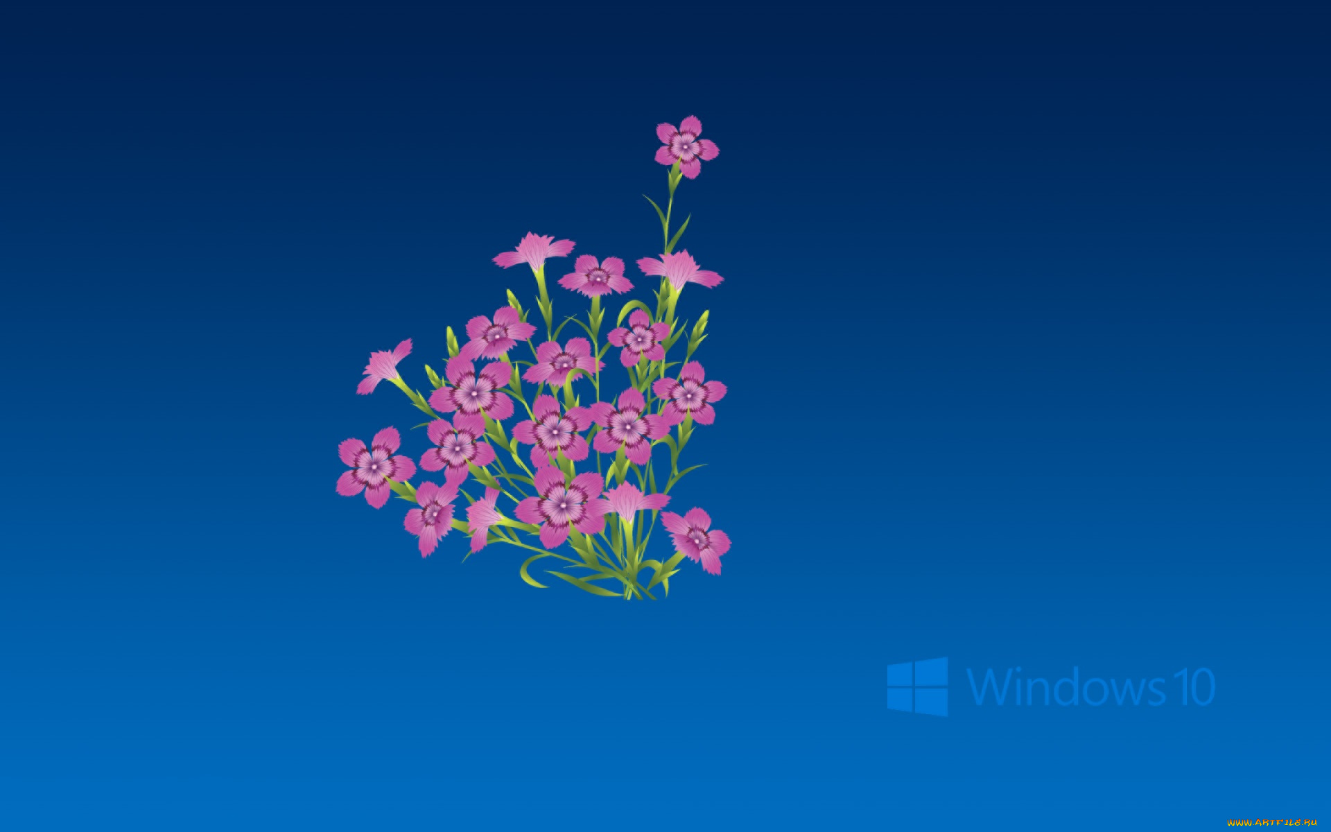 компьютеры, windows, , 10, логотип, фон