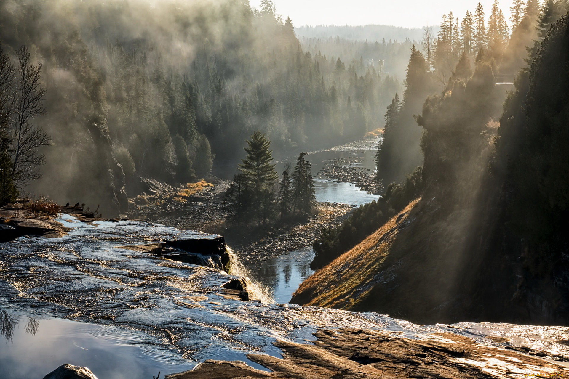 природа, реки, озера, oliver, paipoonge, canada, ontario, река, туман, утро