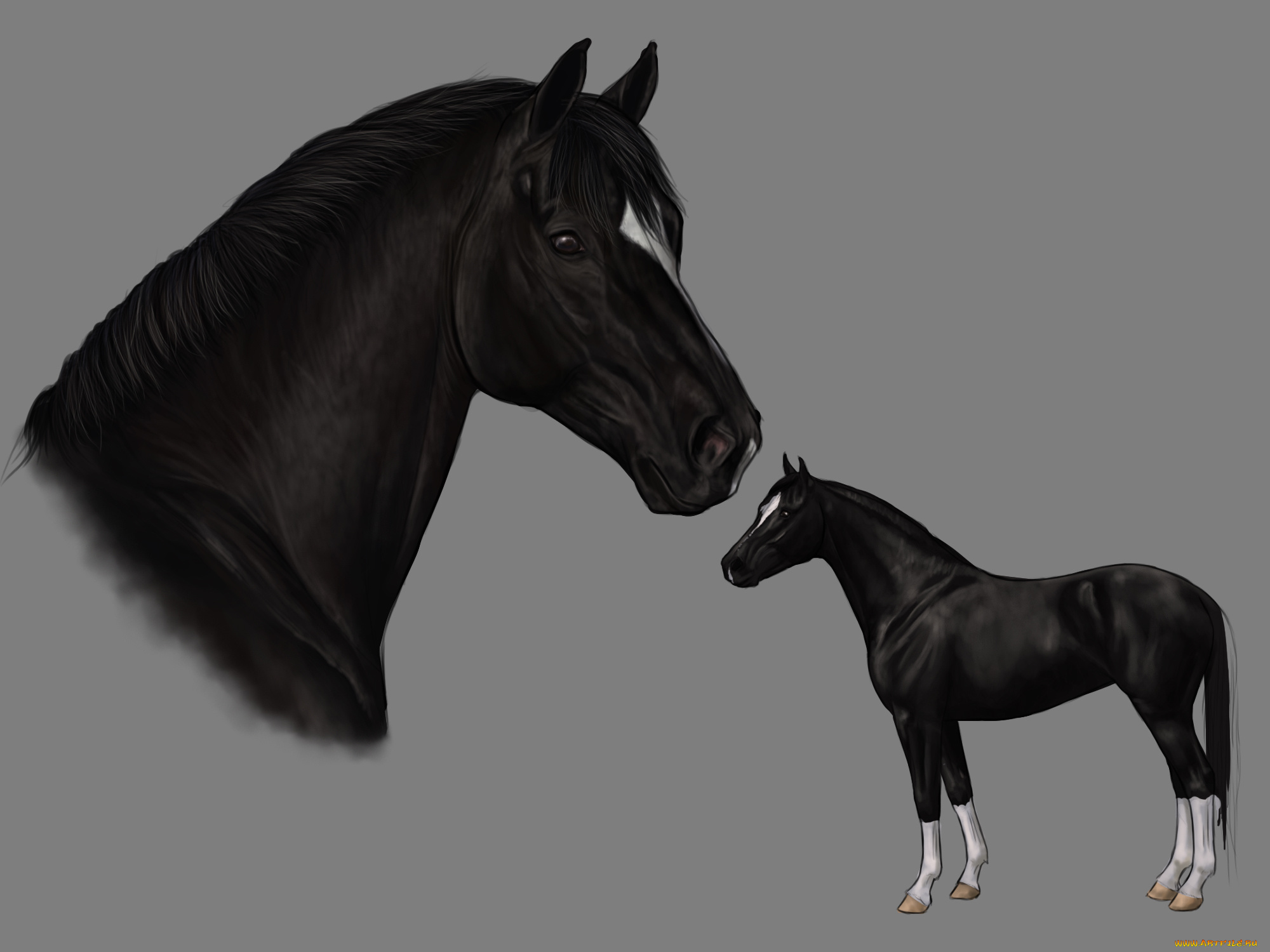 рисованное, животные, , лошади, лошадь, фон