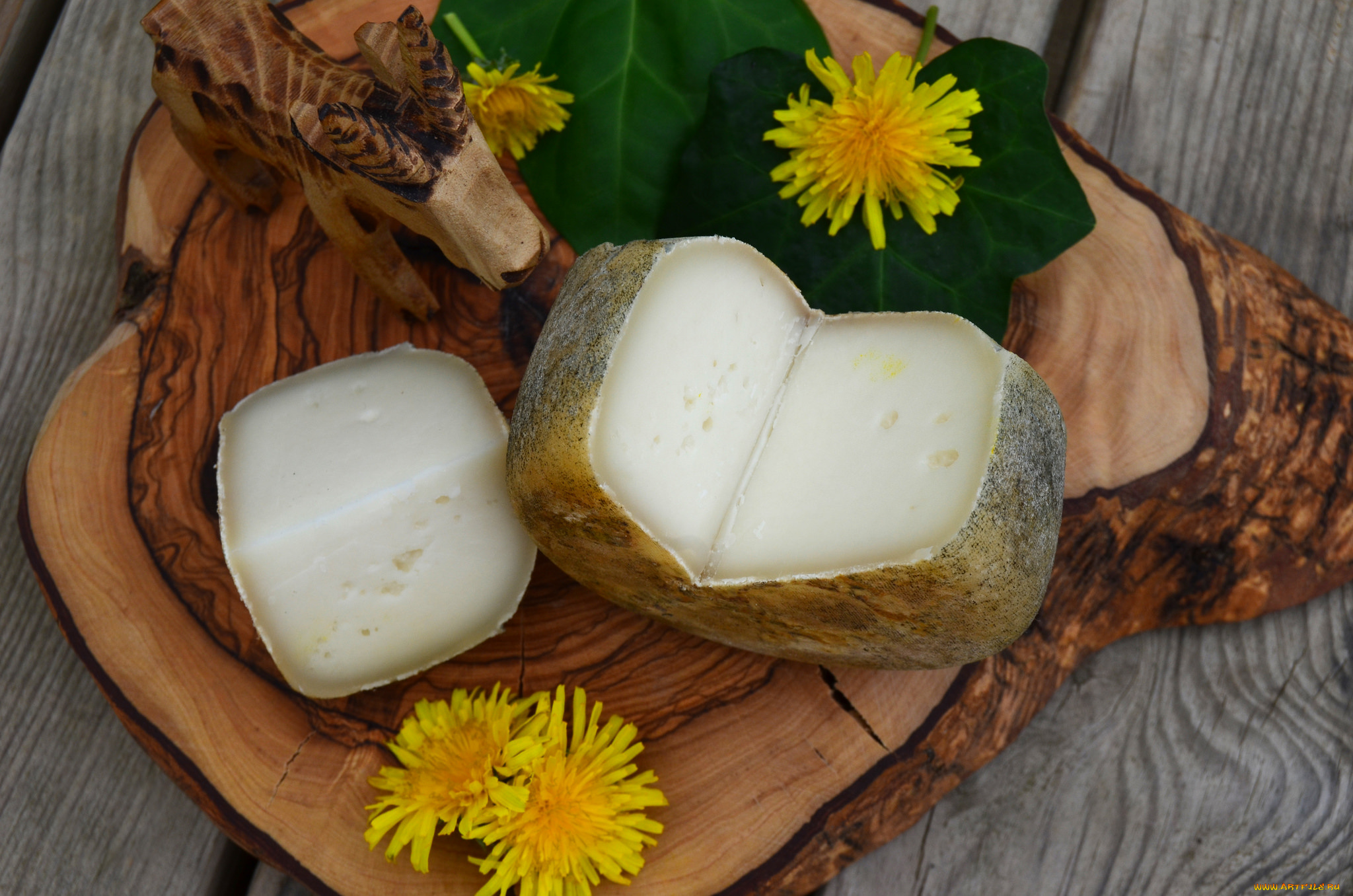 еда, сырные, изделия, сыр