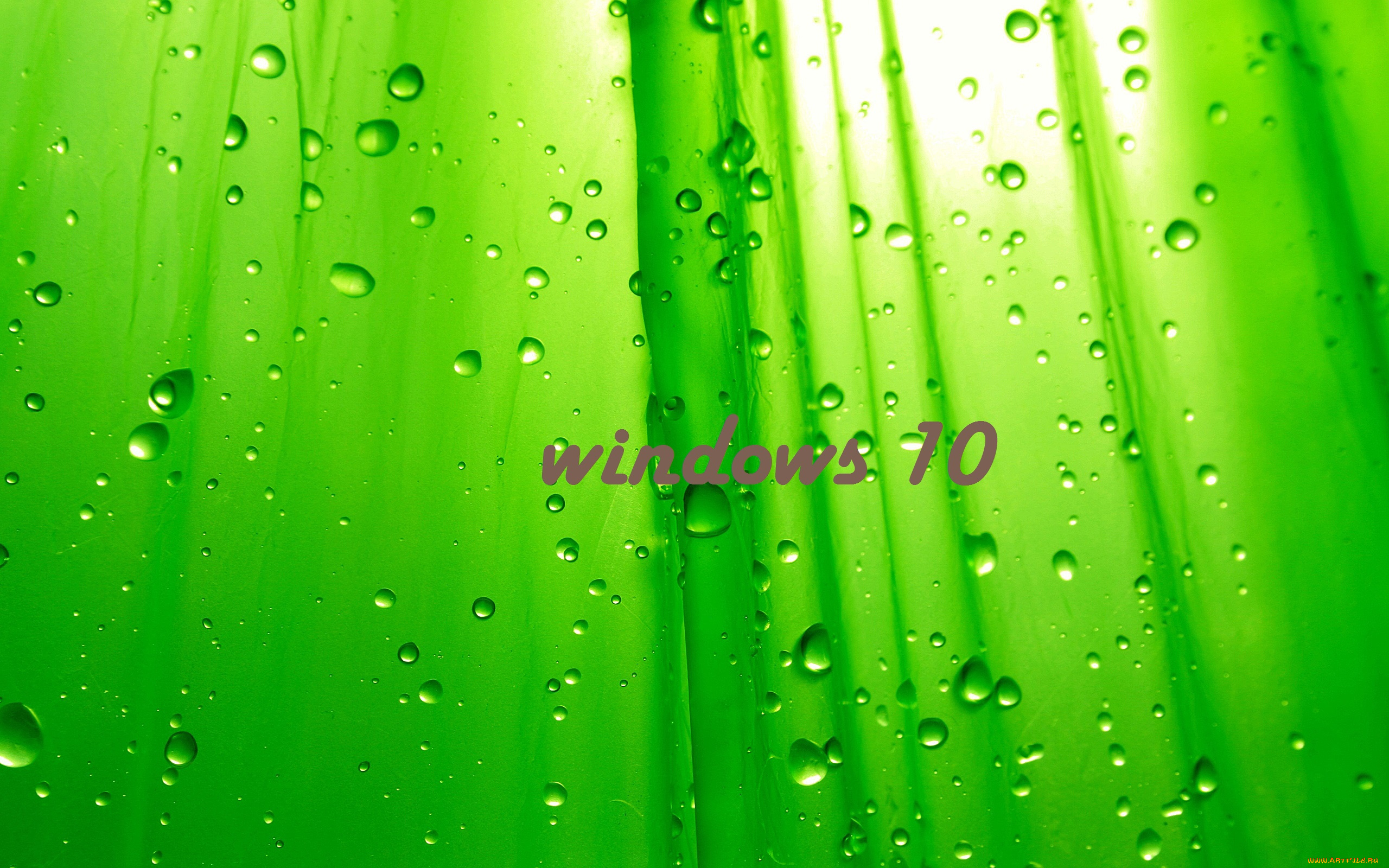 компьютеры, windows, , 10, логотип, фон