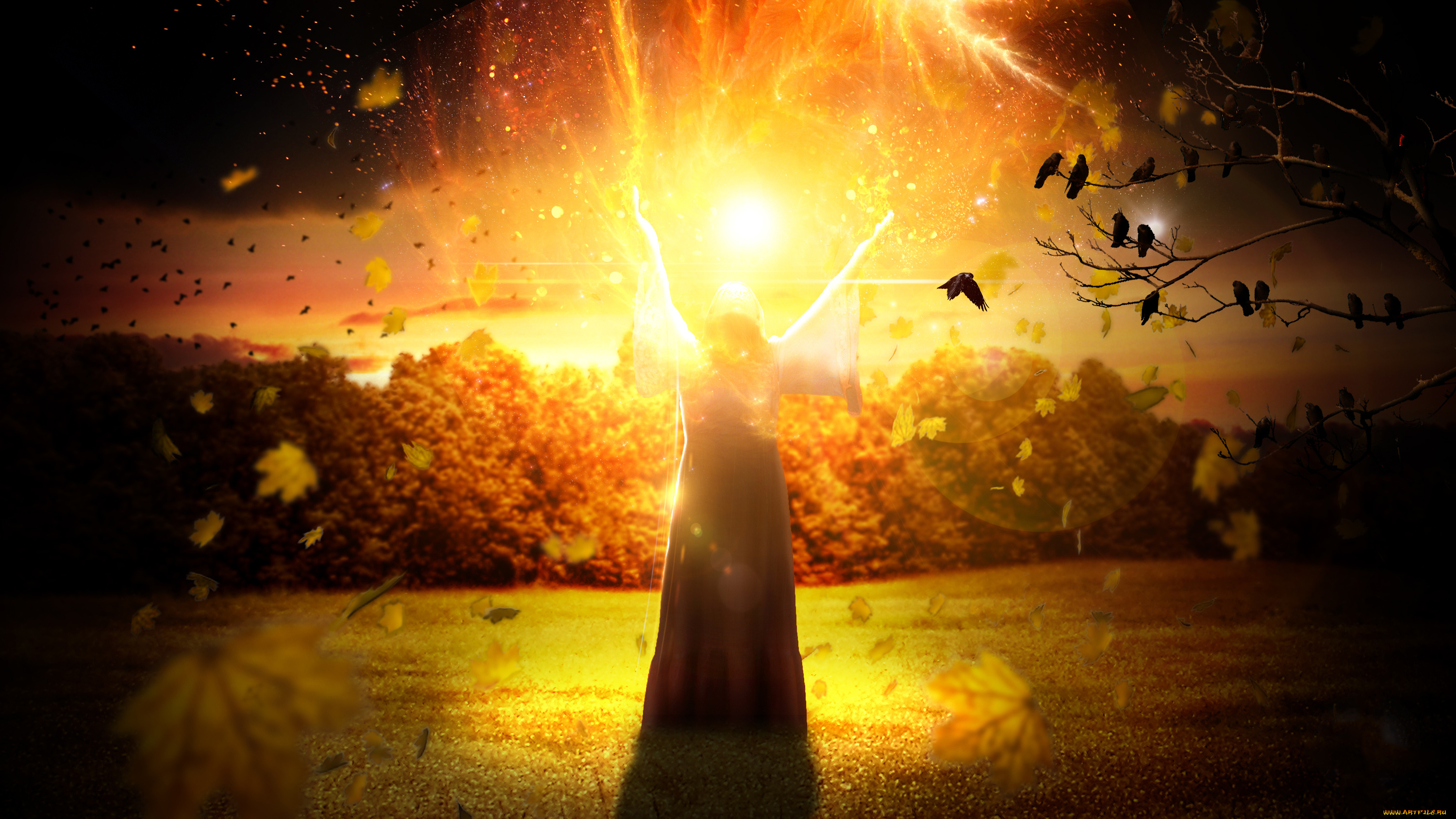 разное, компьютерный, дизайн, птицы, фон, шар, девушка