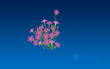 Картинка компьютеры windows++10 логотип фон