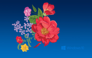 обоя компьютеры, windows  10, логотип, фон