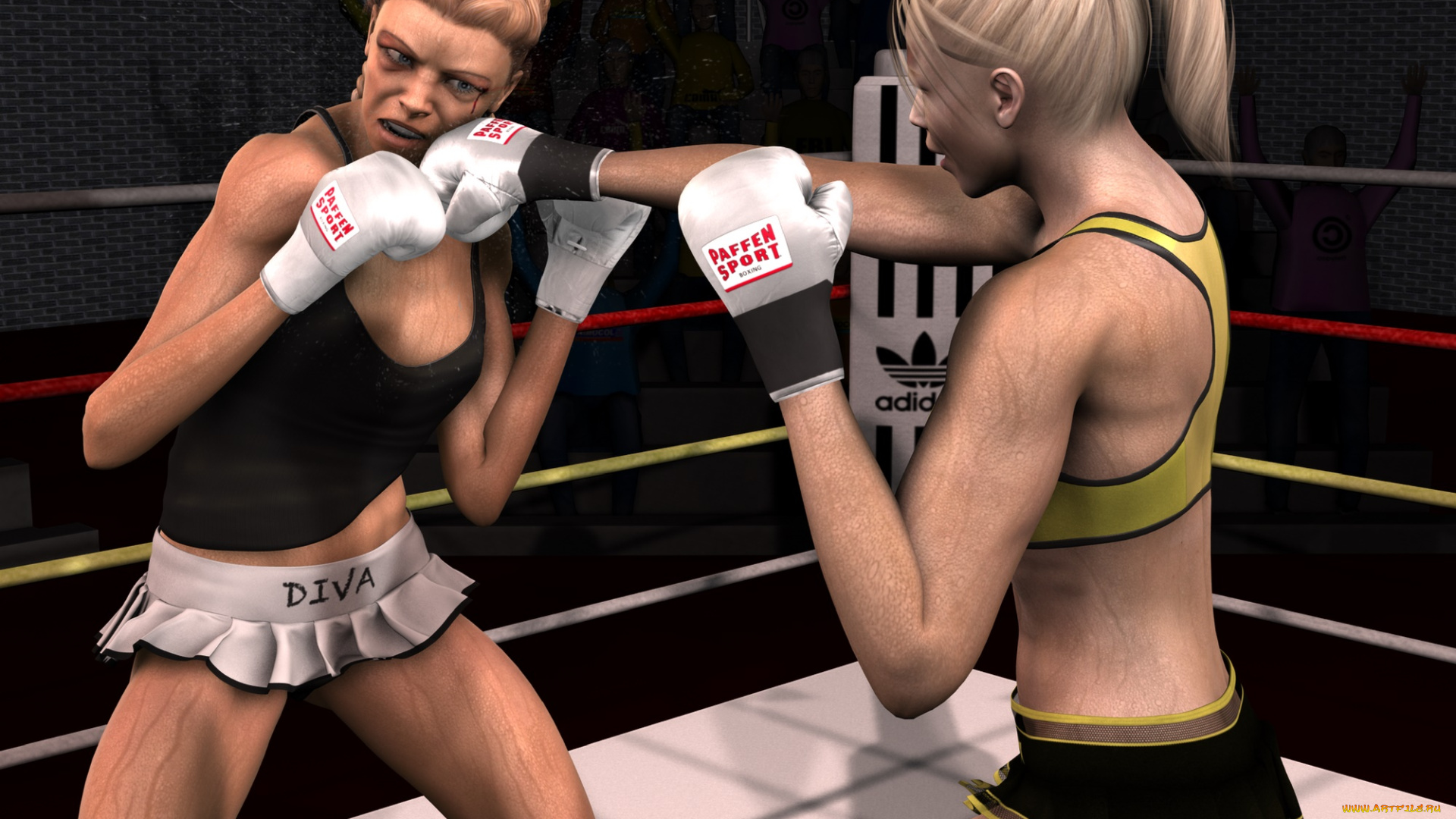 3д, графика, спорт, , sport, бокс, ринг, фон, взгляд, девушки