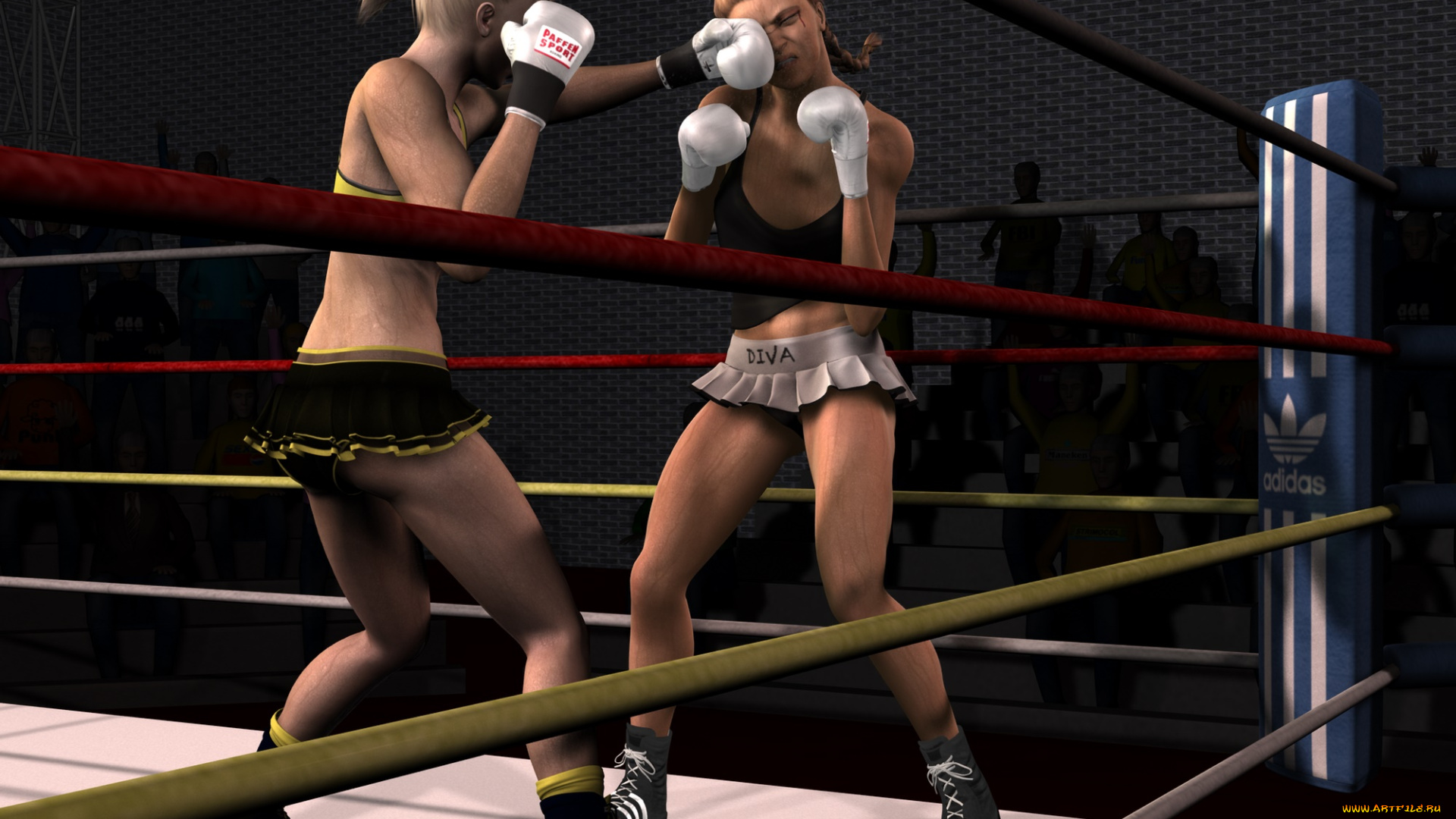 3д, графика, спорт, , sport, взгляд, девушки, фон, бокс, ринг