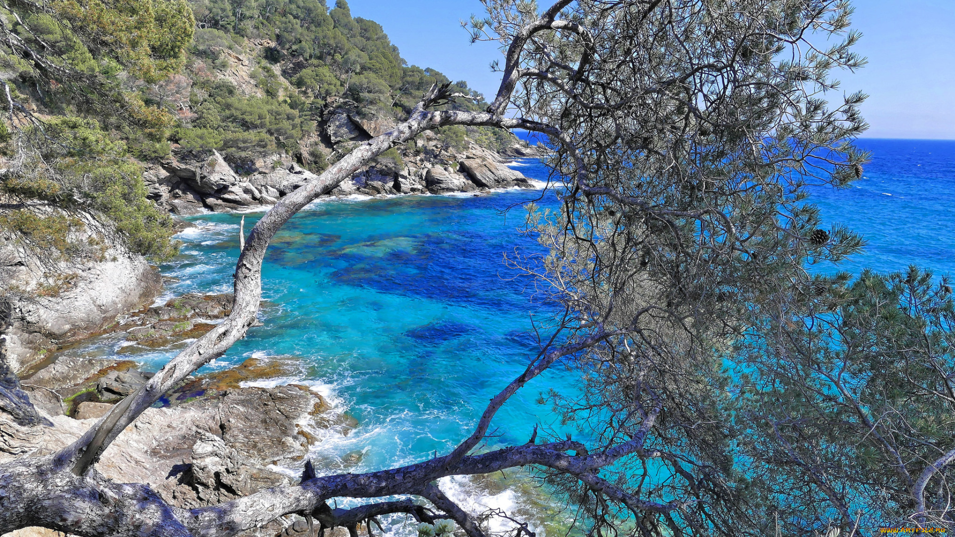 природа, побережье, простор