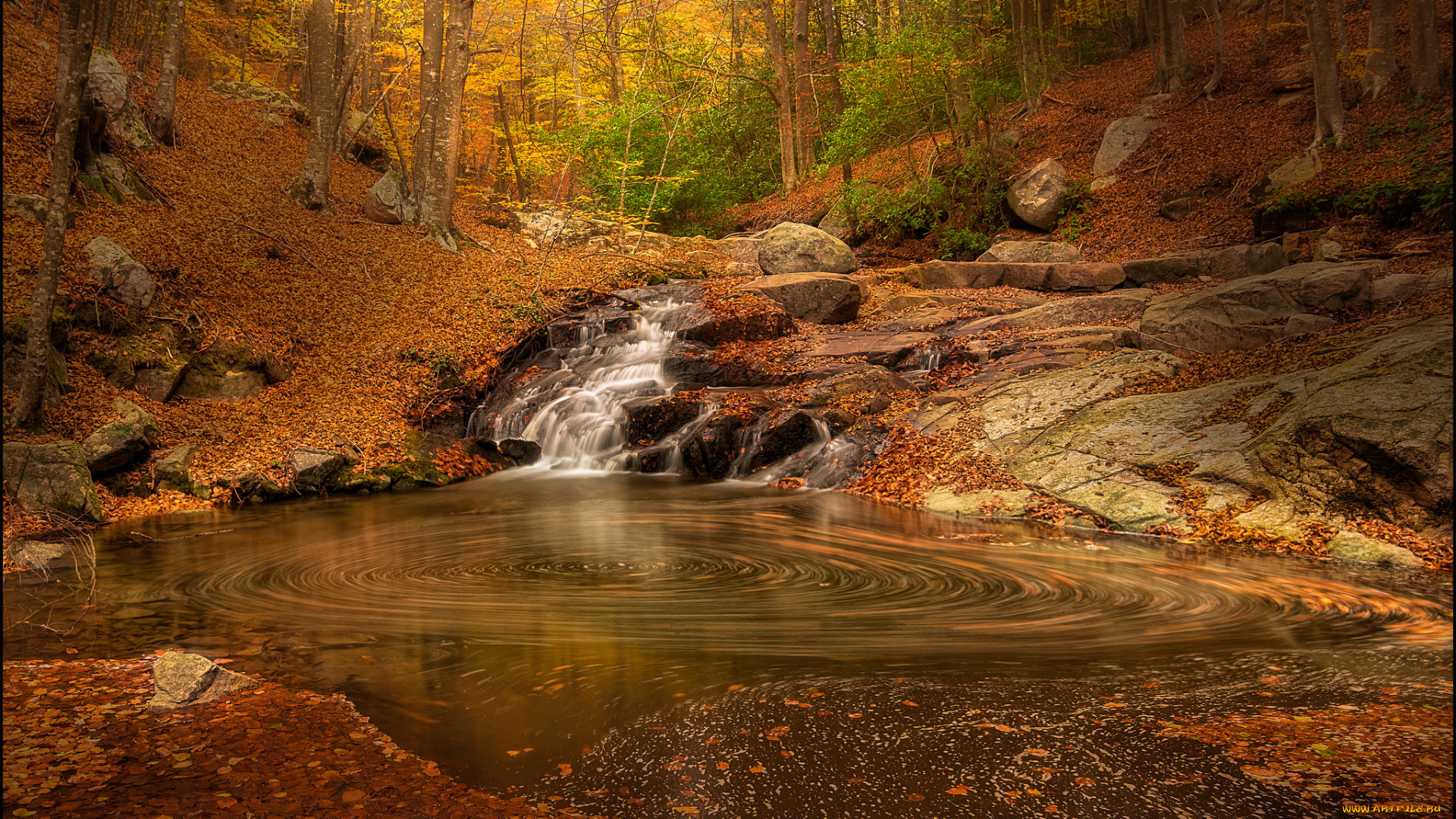 природа, реки, озера, простор