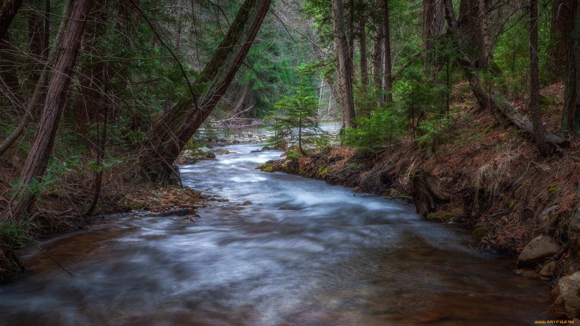 природа, реки, озера, простор