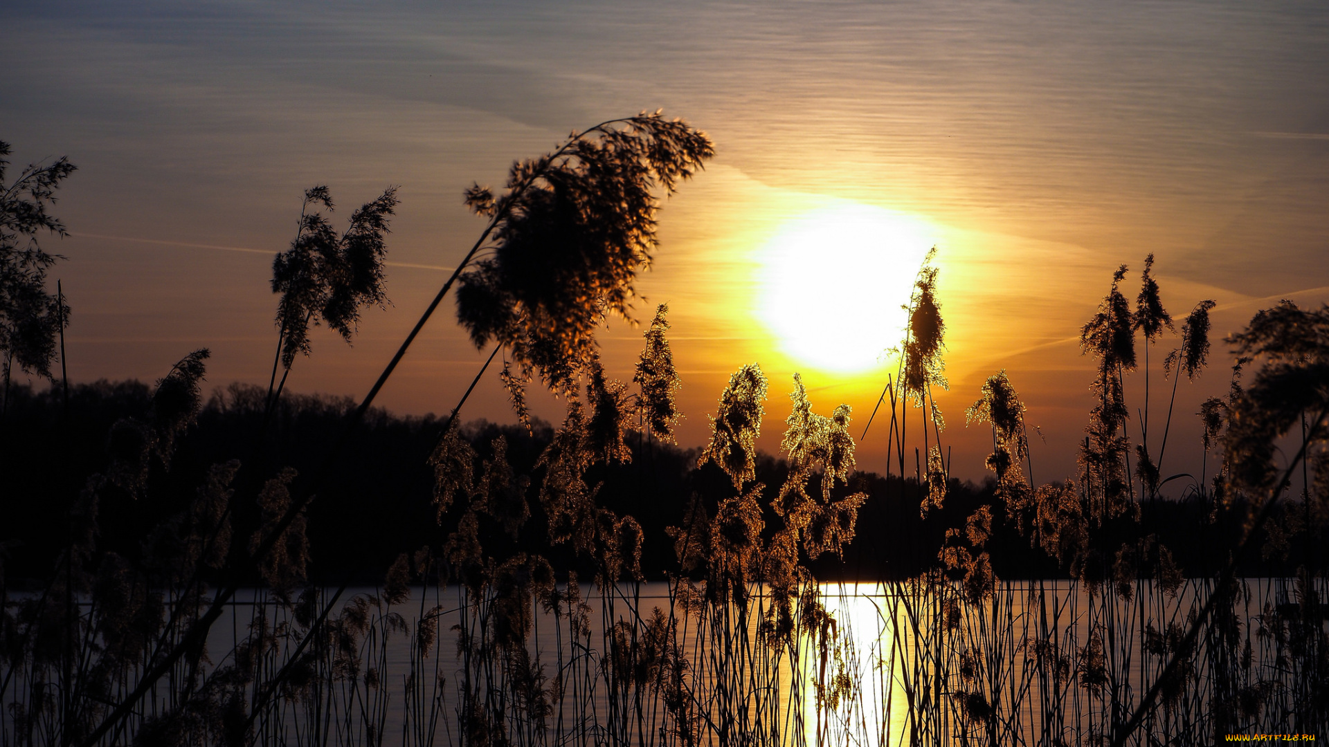 природа, восходы, закаты, простор