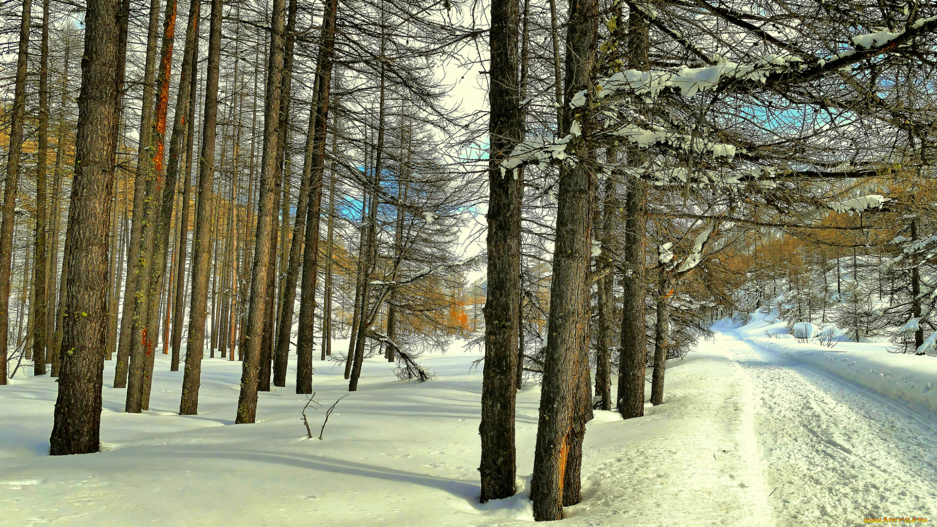 природа, зима, простор