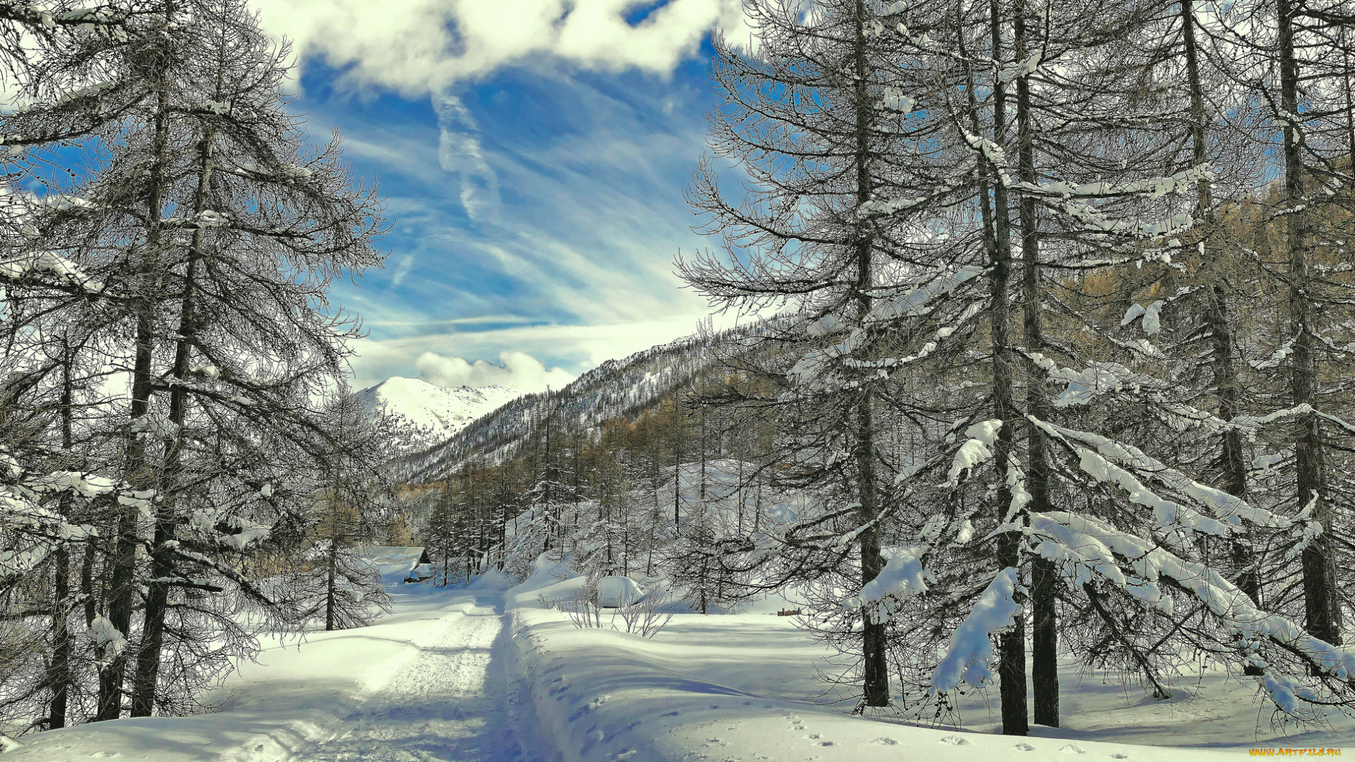 природа, зима, простор