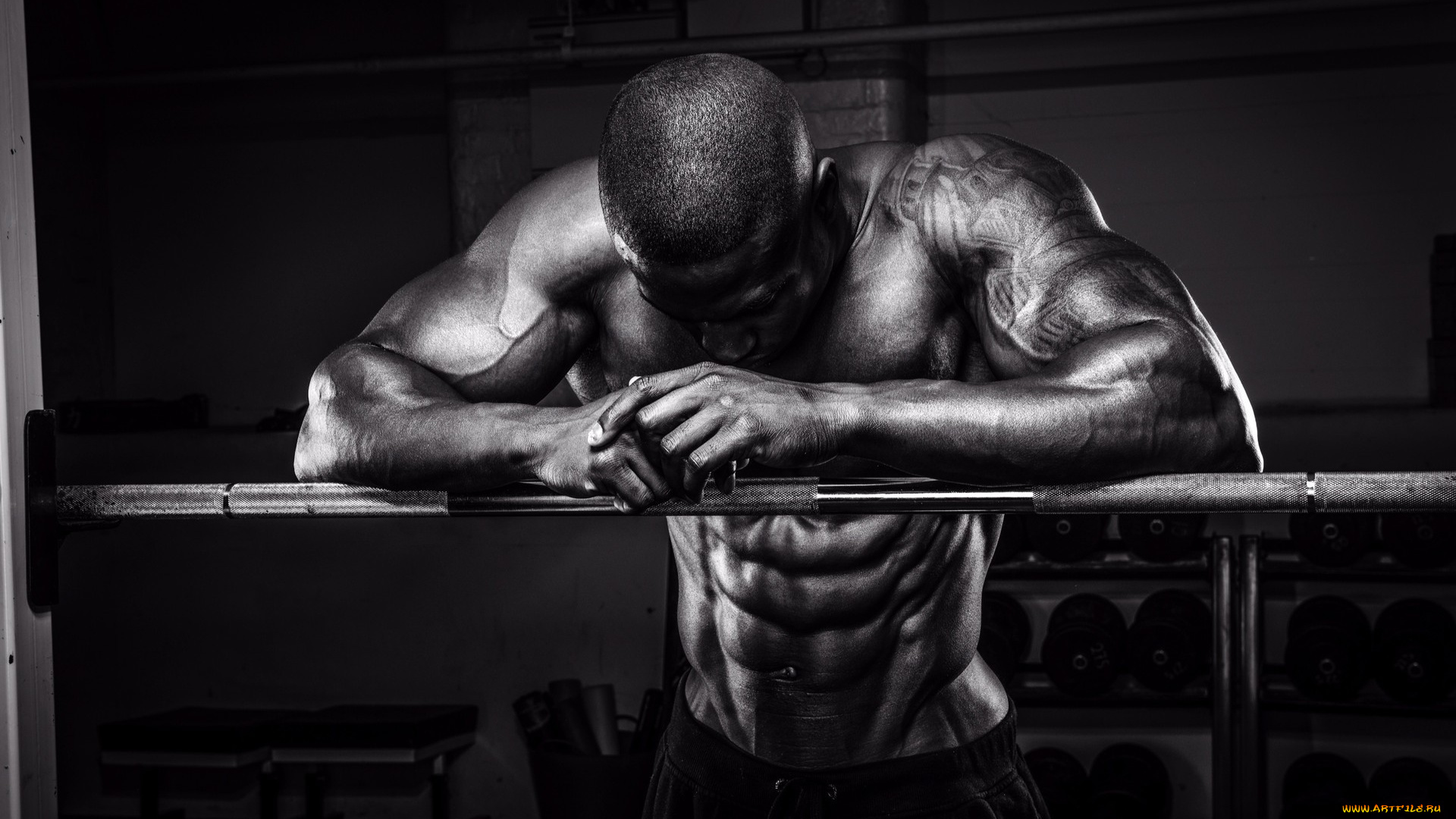 спорт, body, building, спортзал, мужчина, гриф, штанги, wallhaven, культурист, мышцы