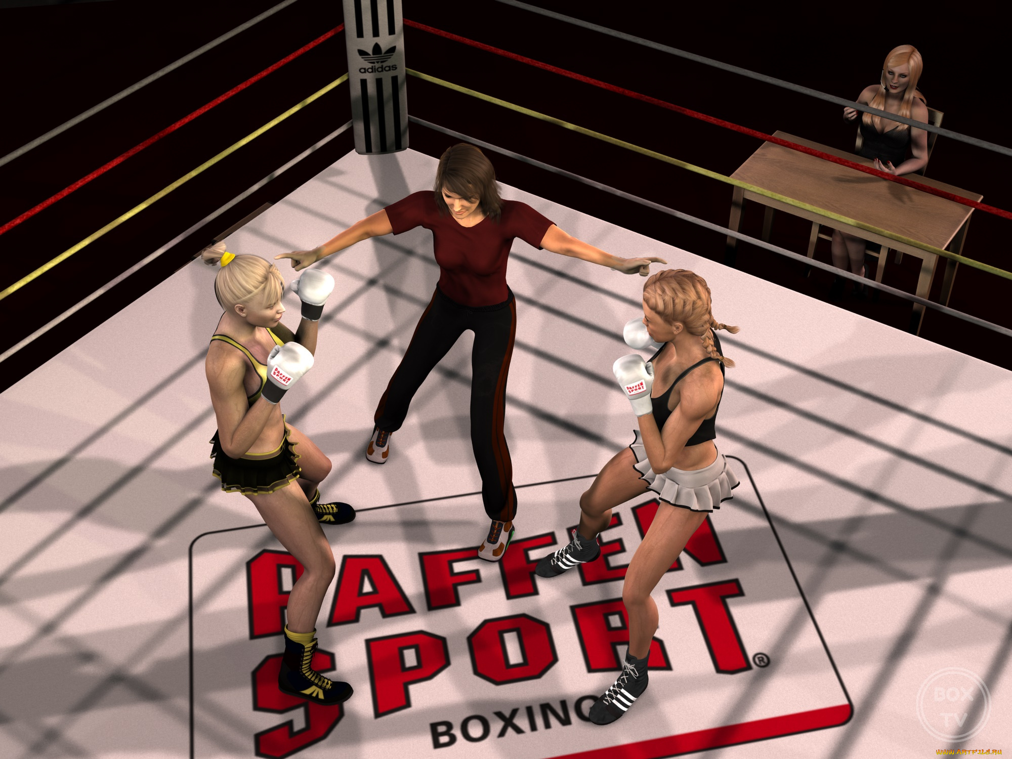 3д, графика, спорт, , sport, фон, ринг, бокс, взгляд, девушки