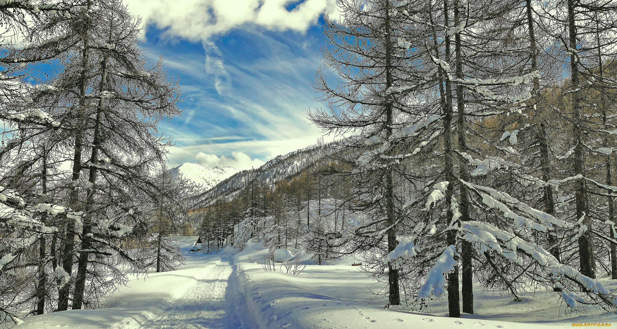 природа, зима, простор