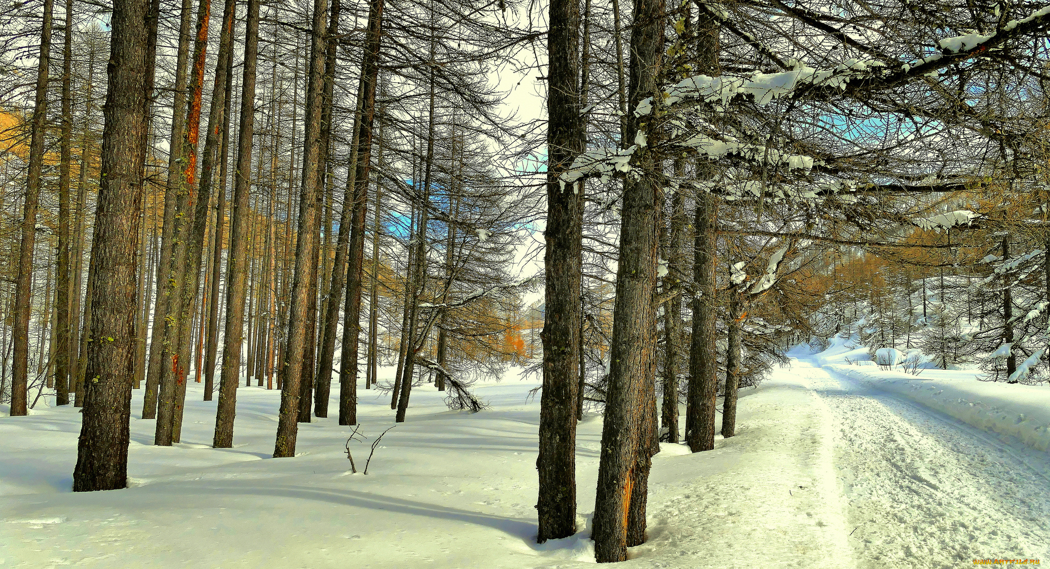 природа, зима, простор