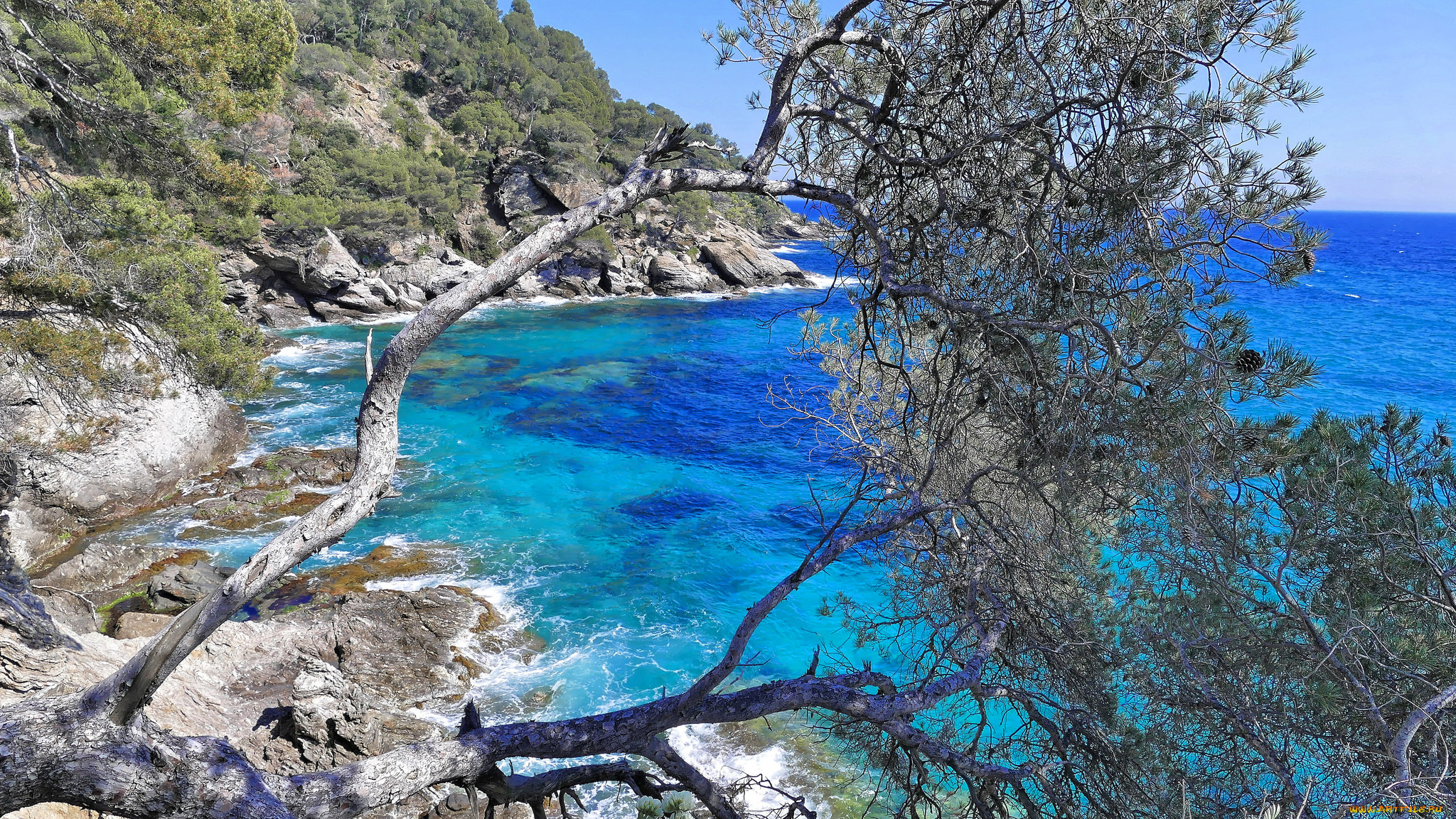 природа, побережье, простор