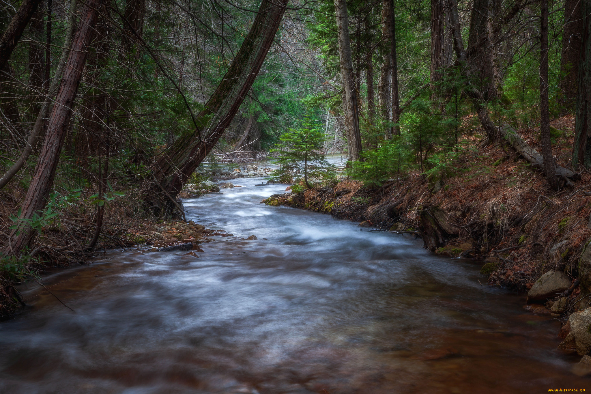 природа, реки, озера, простор