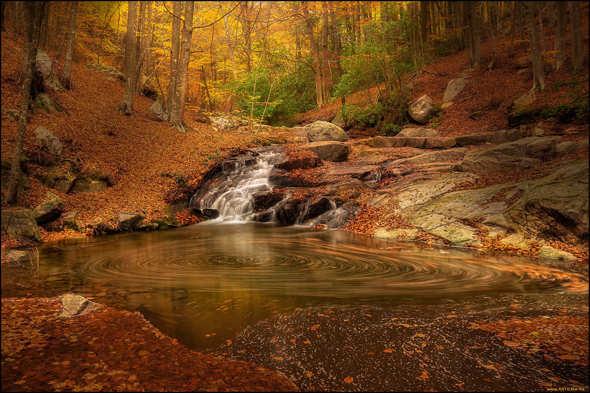 природа, реки, озера, простор