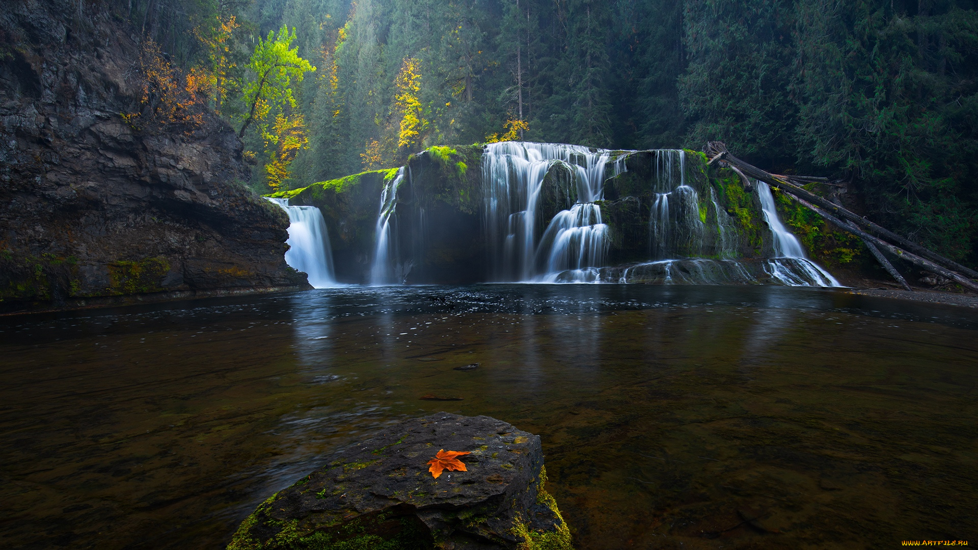 природа, водопады, водопад, в, кугар, штат, вашингтон