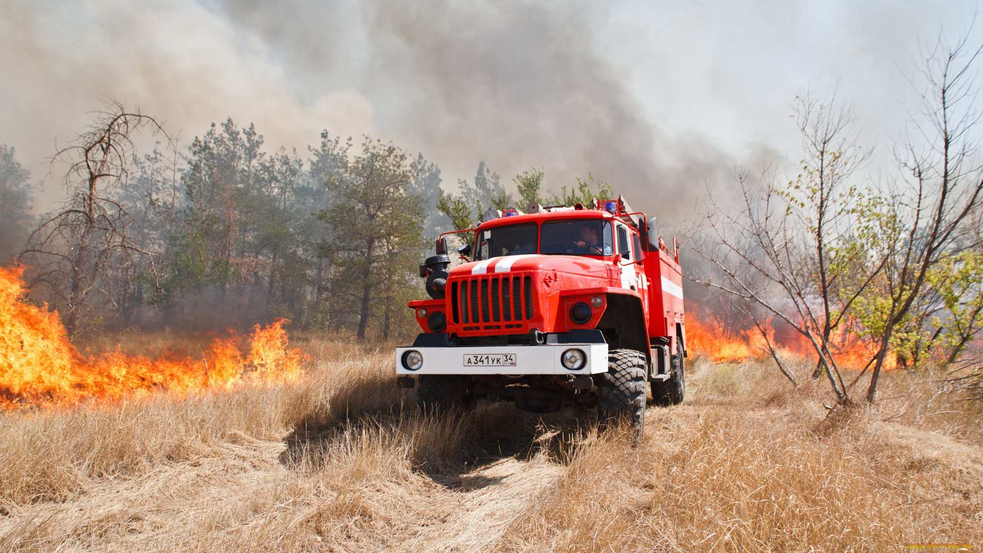 автомобили, пожарные, машины, ural