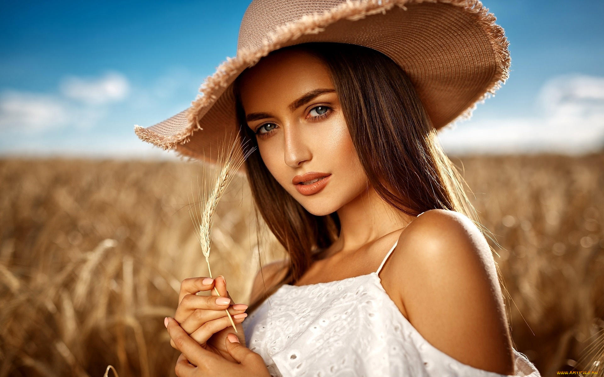 девушки, -, лица, , портреты, шатенка, колосок, шляпа