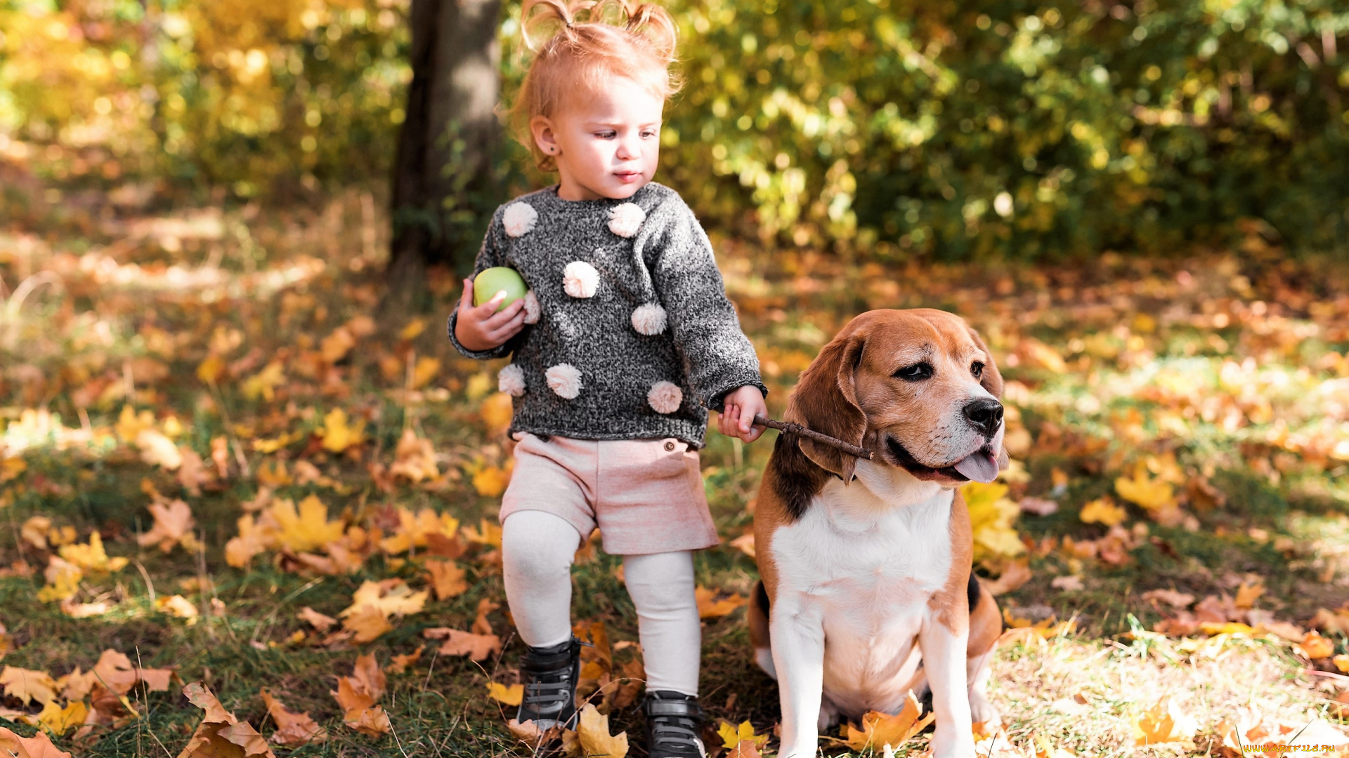 разное, дети, девочка, яблоко, собака, листья, осень