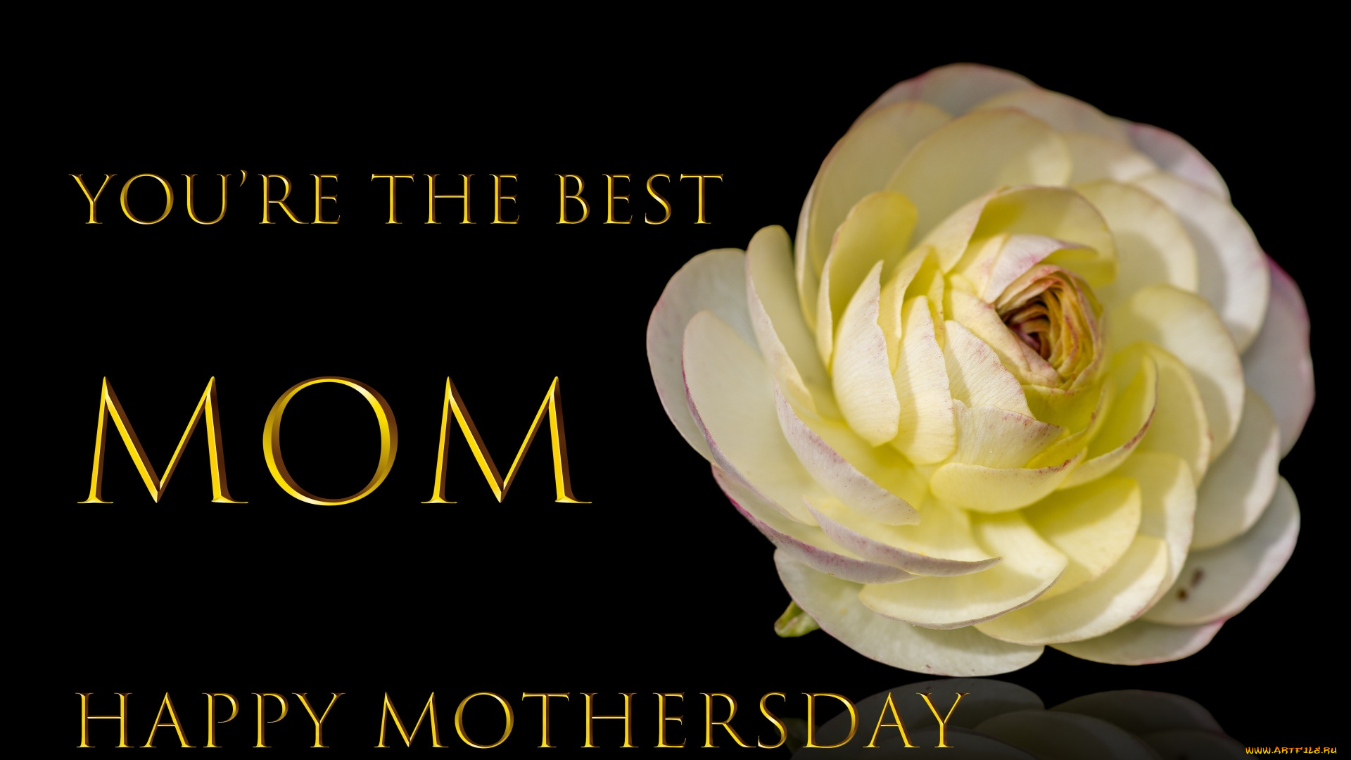 праздничные, день, матери, поздравление, признание