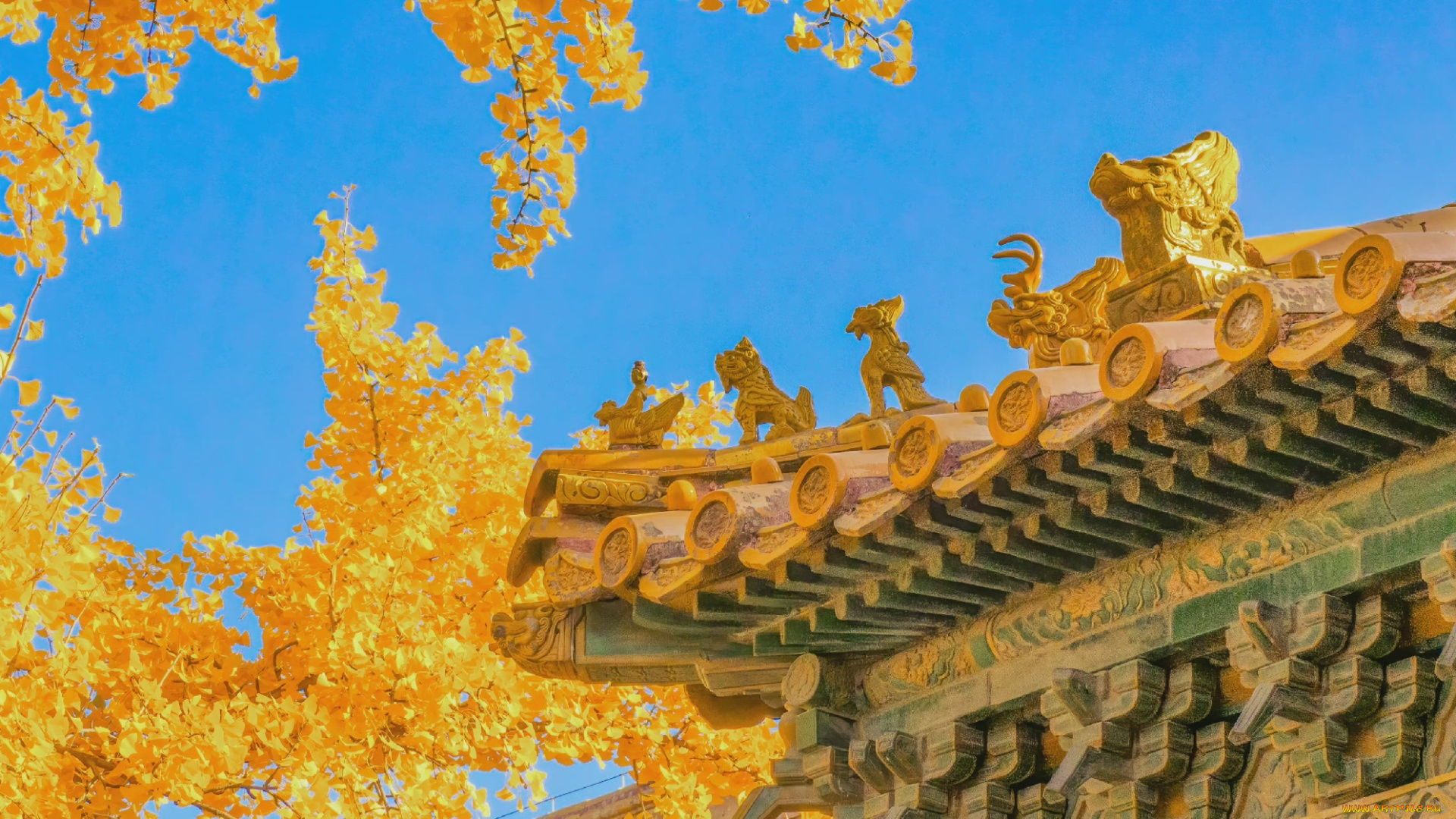 разное, элементы, архитектуры, крыша