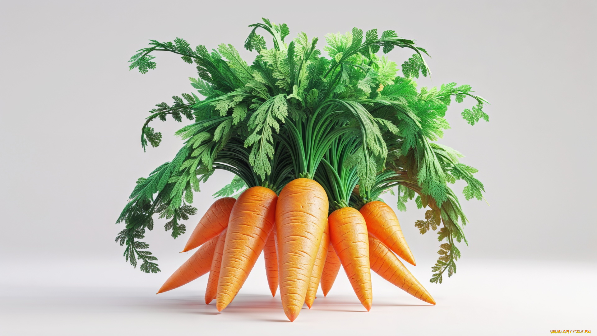 3д, графика, еда-, food, морковь