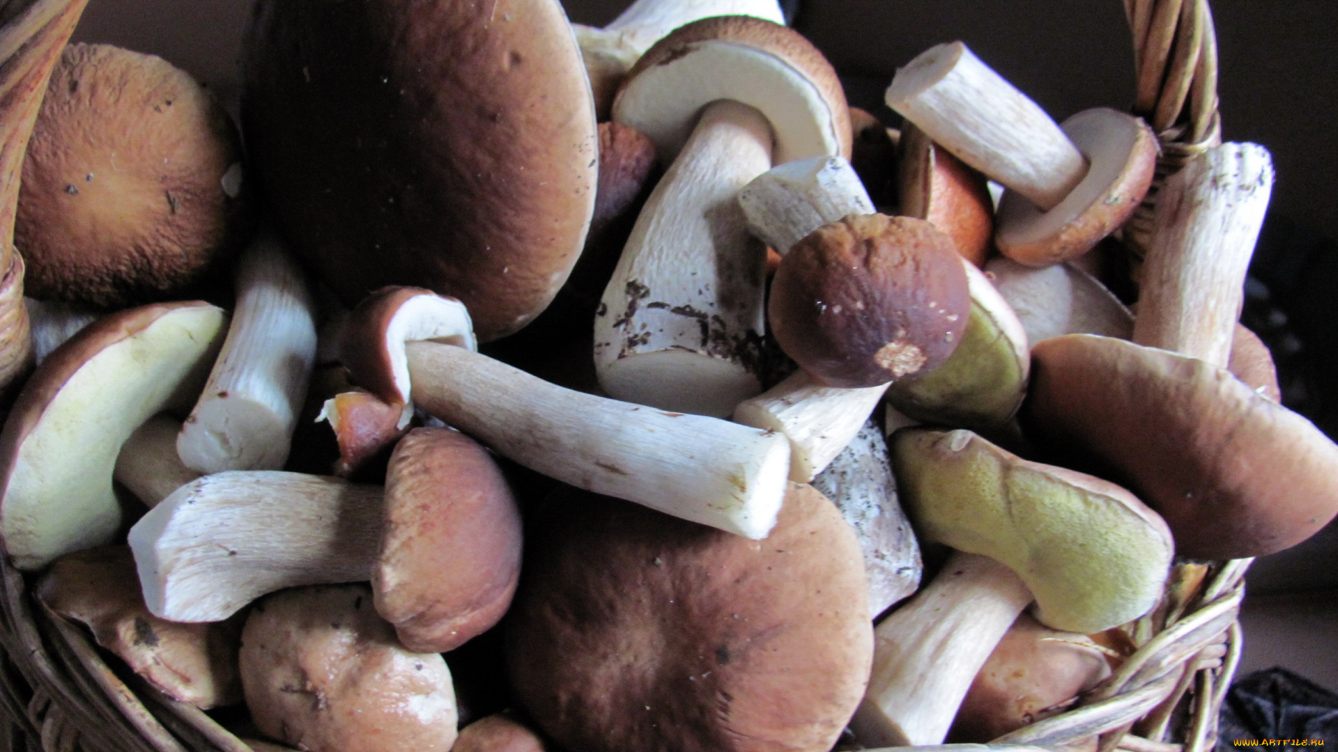 еда, грибы, , грибные, блюда, боровики