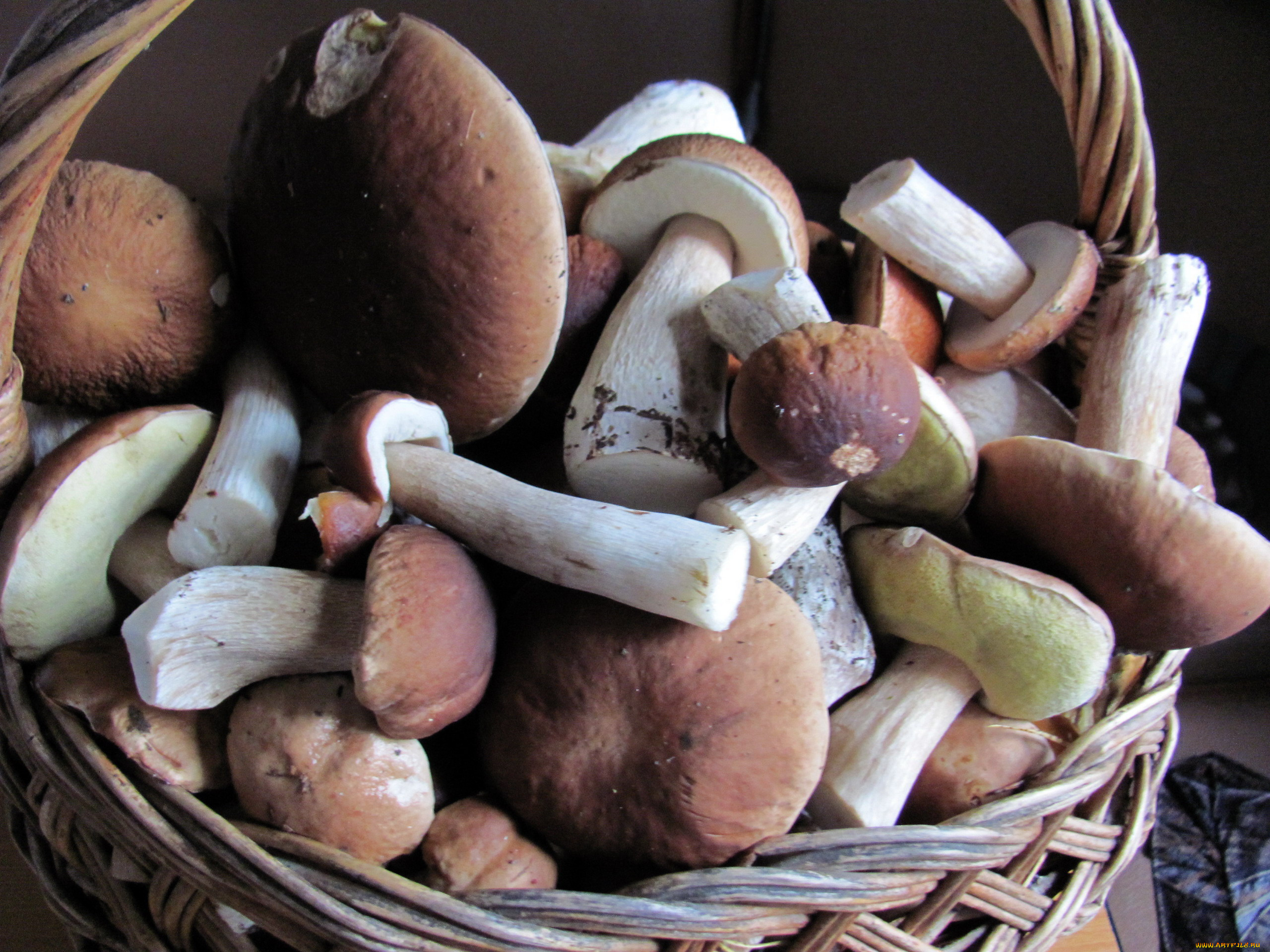 еда, грибы, , грибные, блюда, боровики