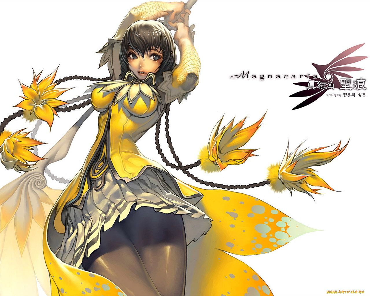 magna, carta, видео, игры