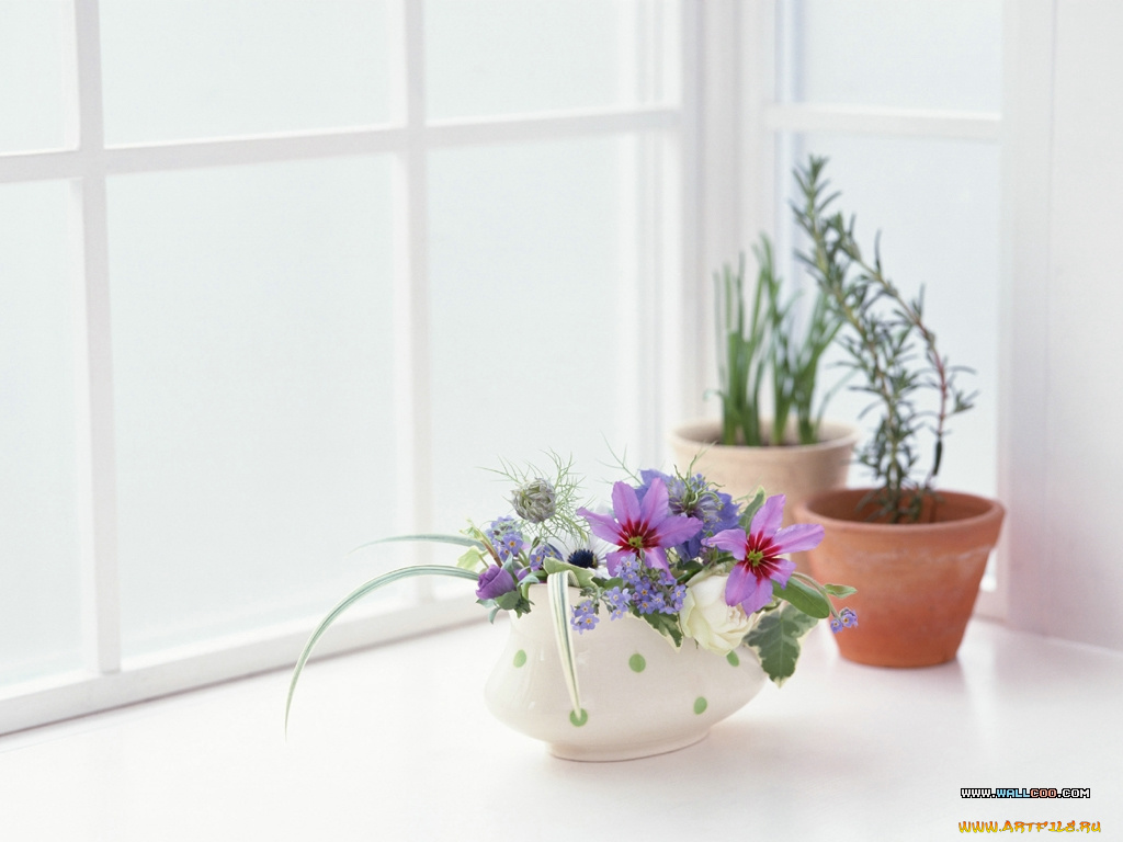 цветы, разные, вместе