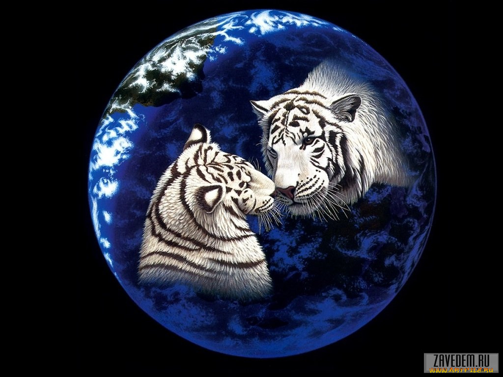 фэнтези, william, schimmel