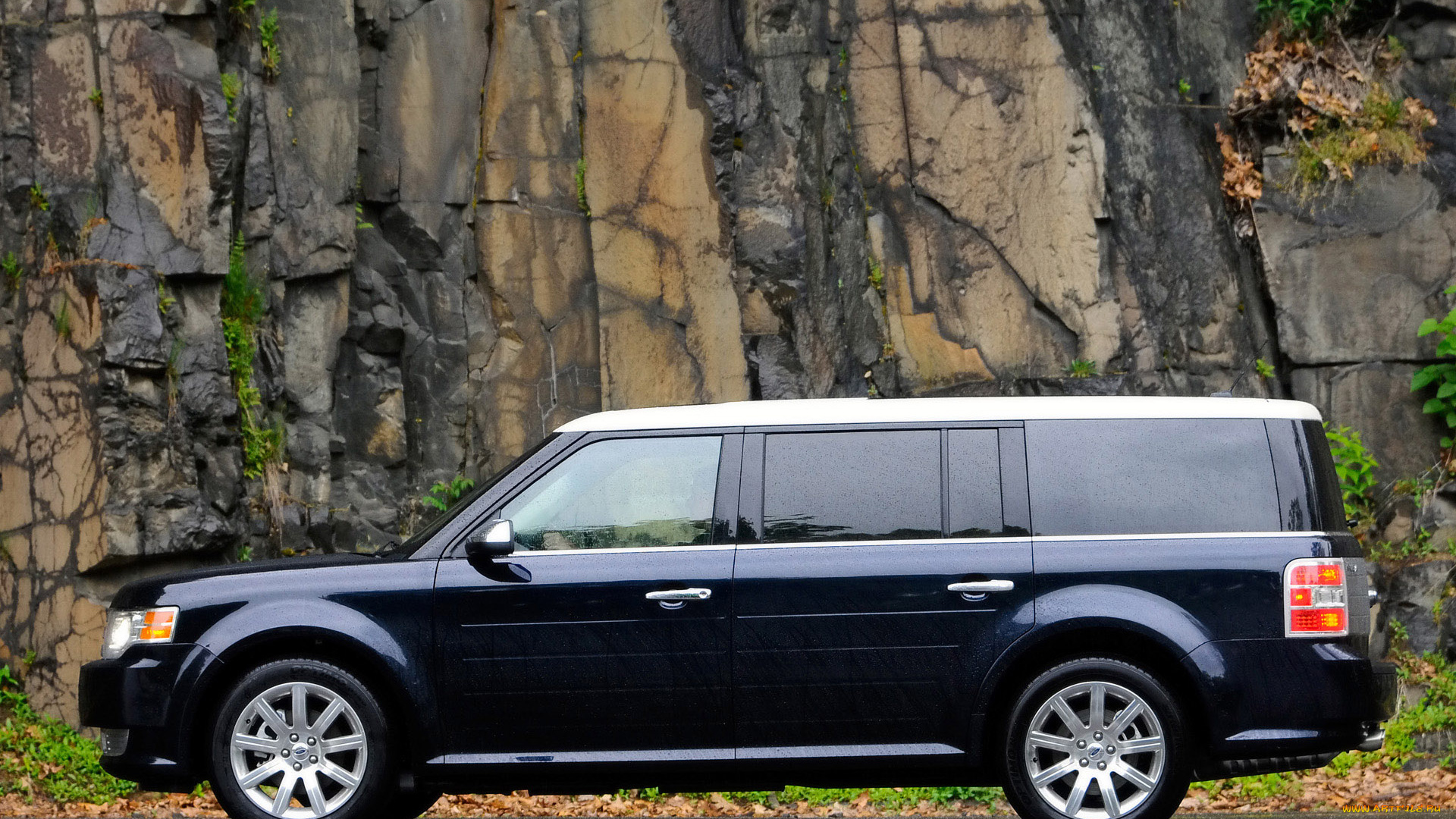 2009, ford, flex, автомобили