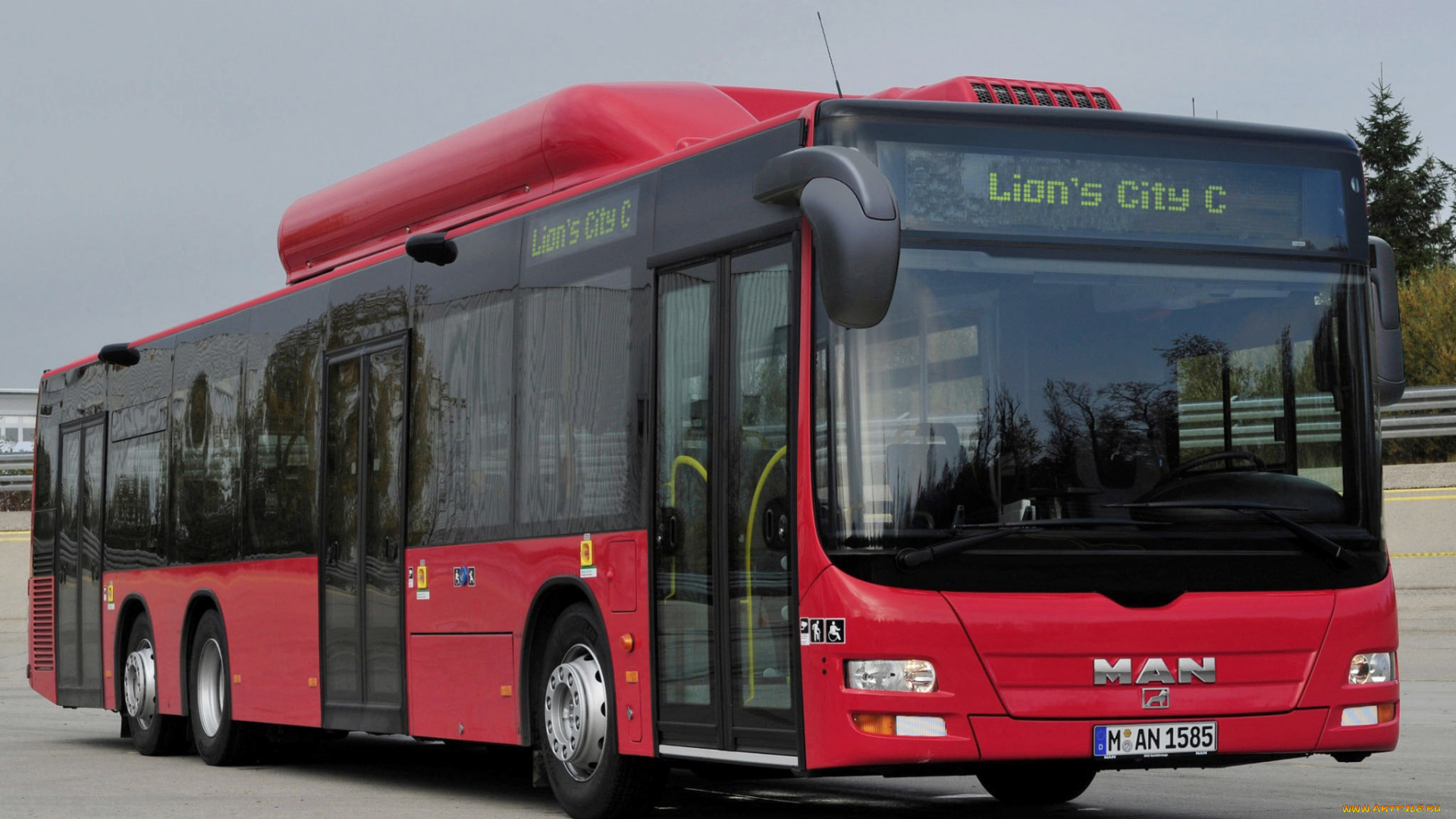 автомобили, автобусы