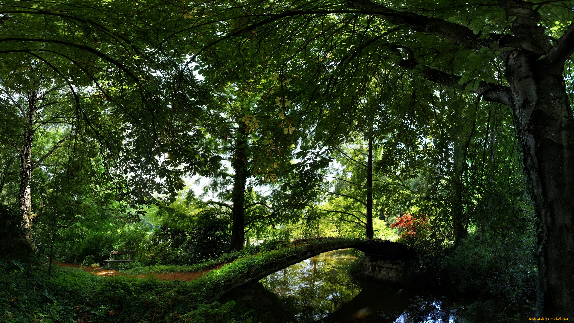 3д, графика, nature, landscape, природа