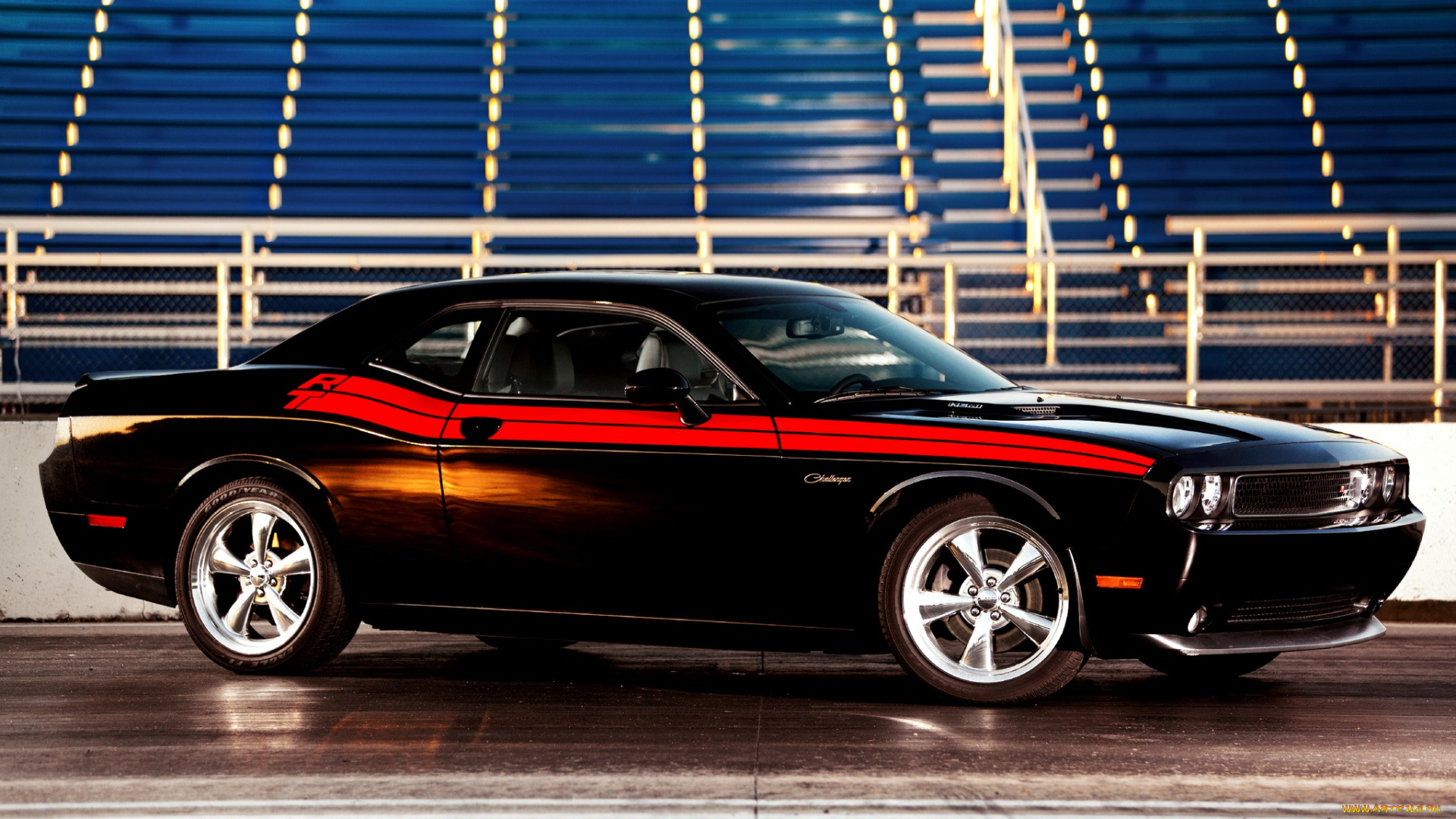 dodge, challenger, автомобили