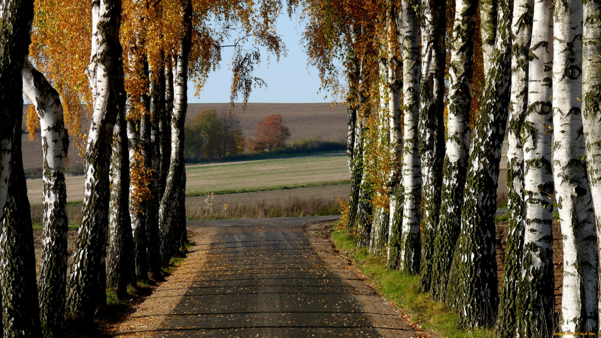 природа, дороги