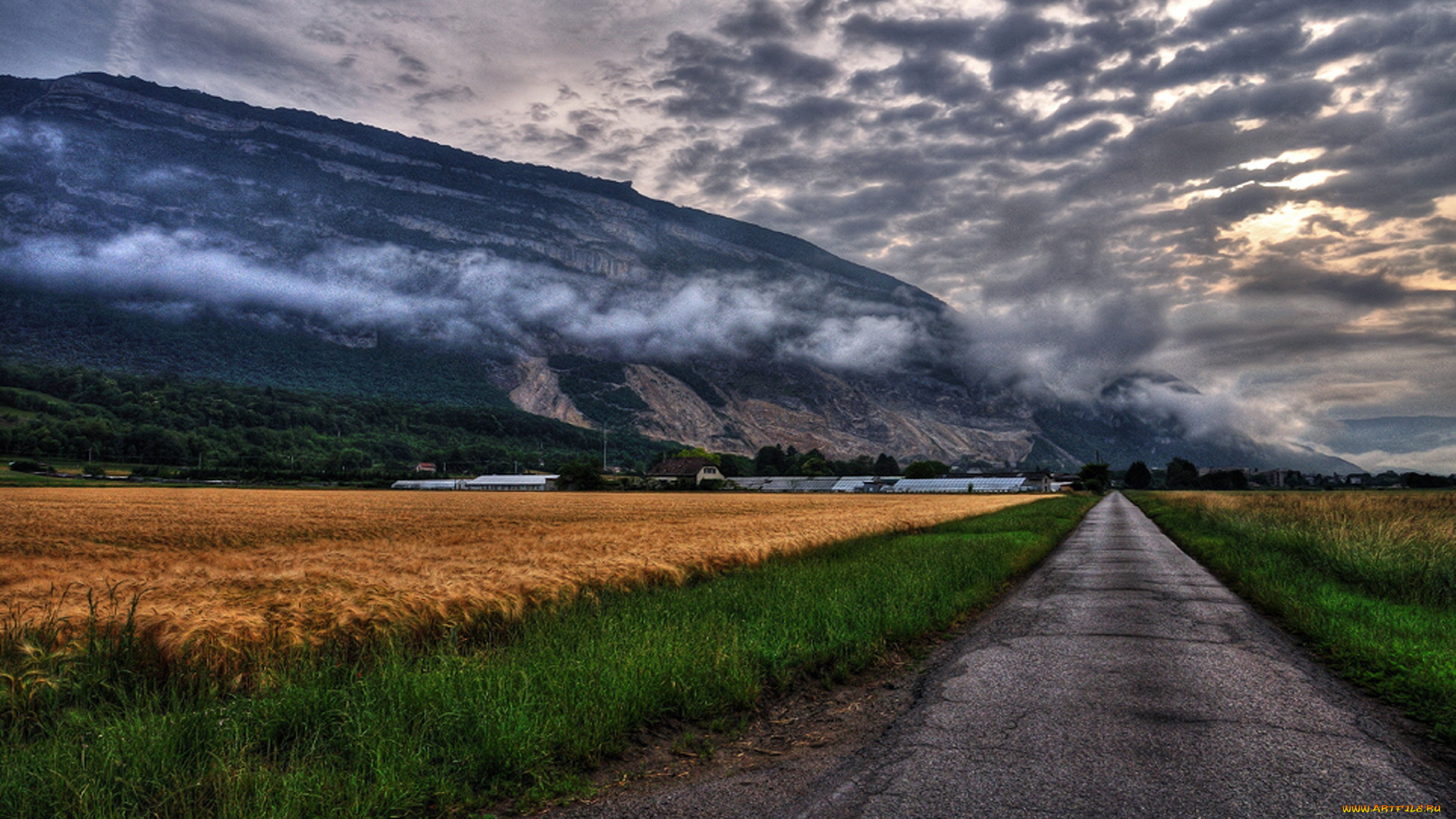 природа, дороги