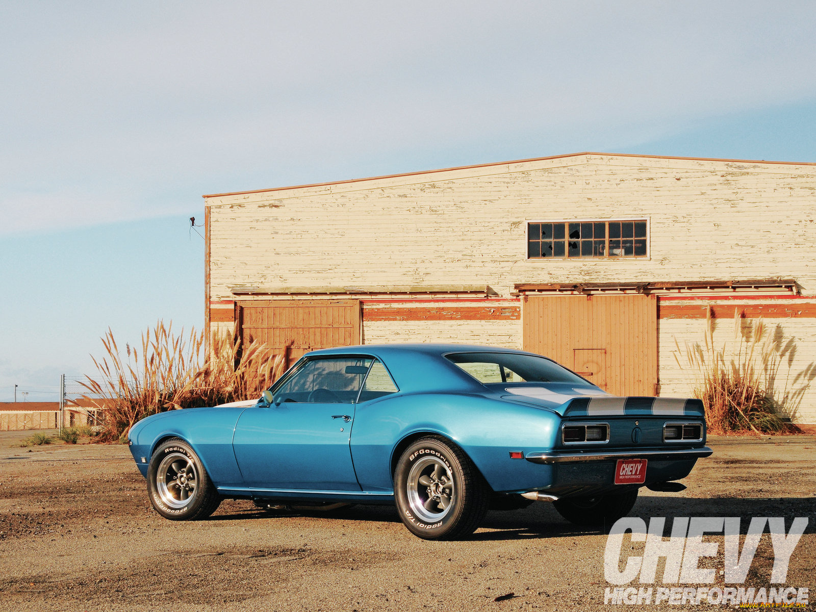 автомобили, camaro