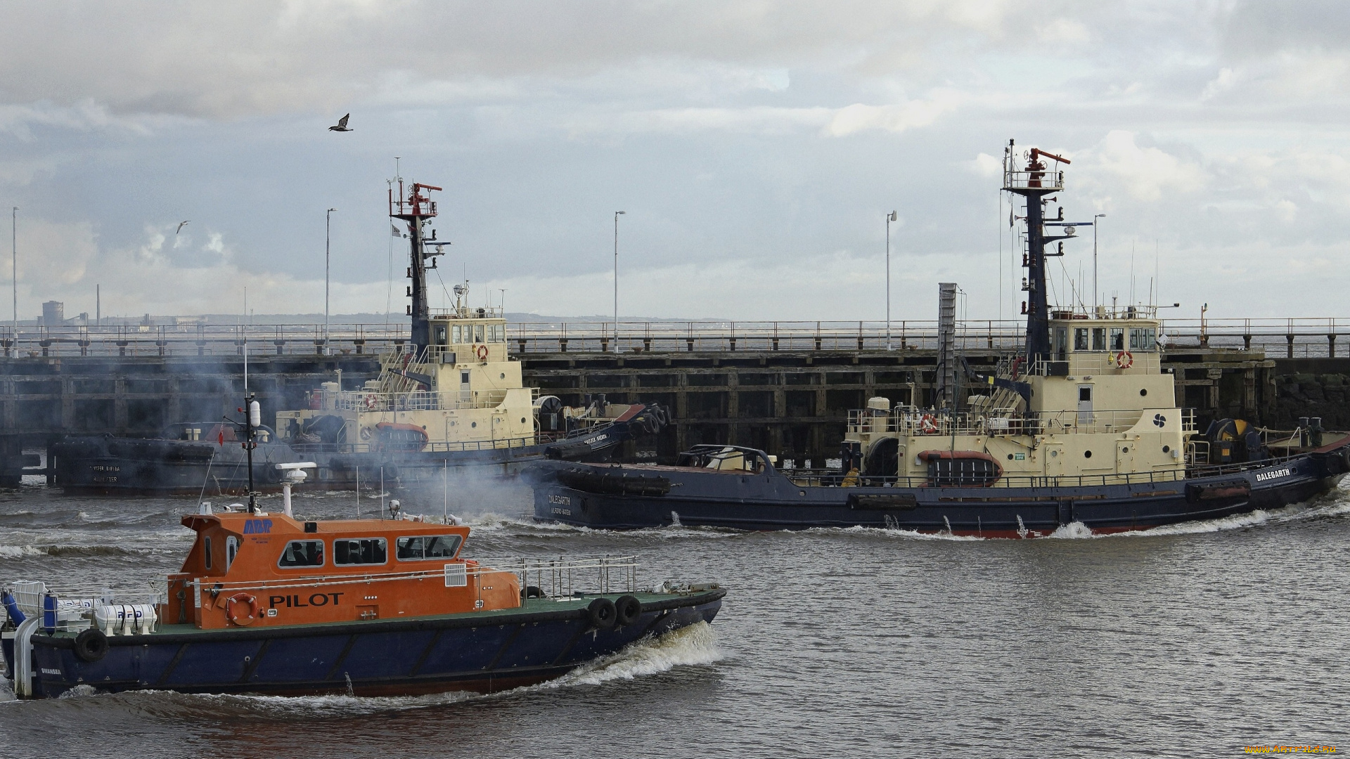 корабли, разные, вместе, лоцманский, катер, буксиры