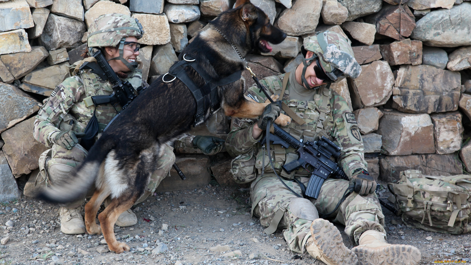 оружие, армия, спецназ, солдат, собака
