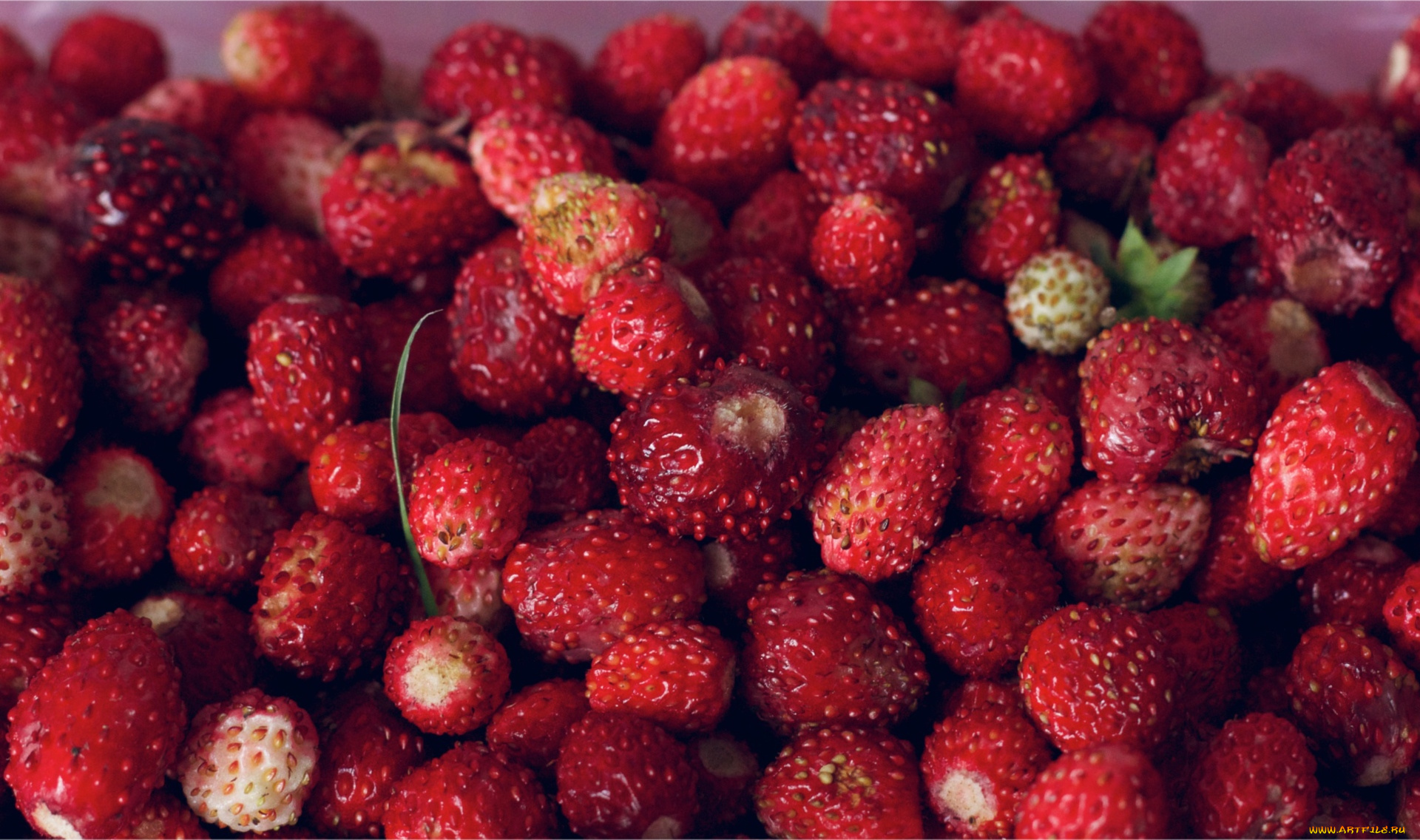 еда, клубника, земляника