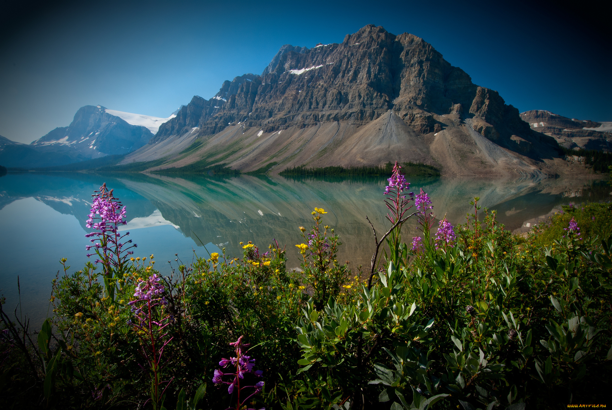 bow, lake, alberta, canada, природа, горы, crowfoot, mountain, banff, national, park, банф, озеро, боу, альберта, канада, цветы