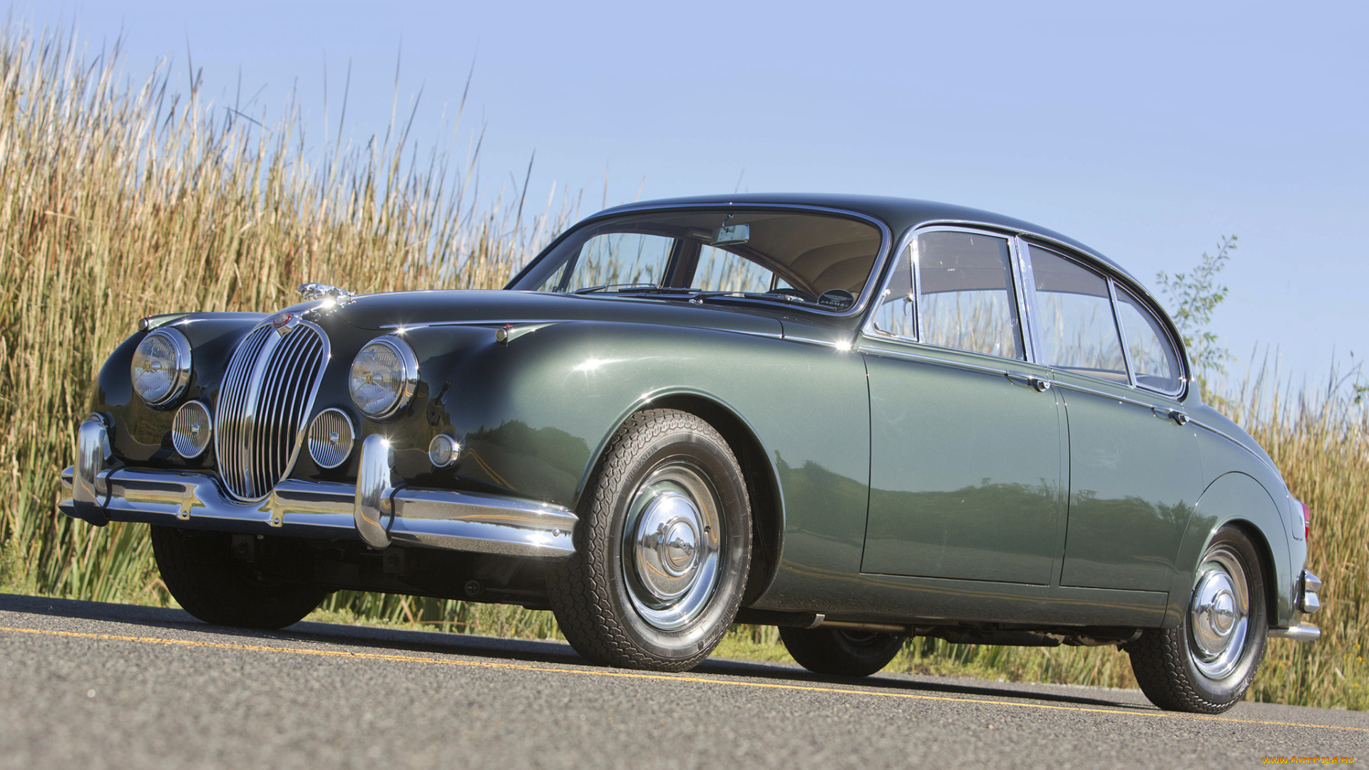 автомобили, jaguar, 2014г, темный, mitsubishi, cab, double, l200