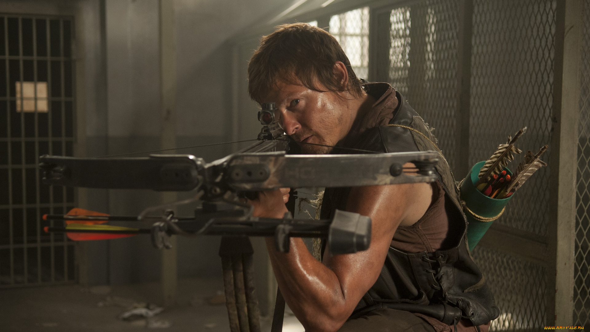 кино, фильмы, the, walking, dead, дэрил, стрелы, арбалет, сериал, мертвецы, ходячие, dead, walking, the