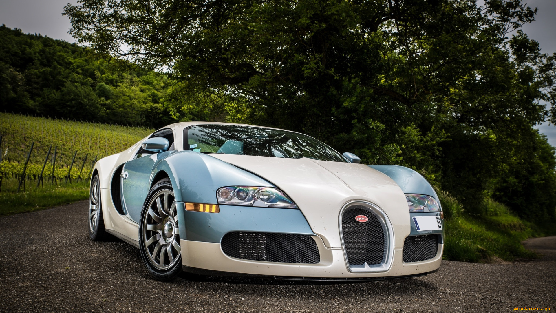 bugatti, veyron, автомобили, bugatti, спорткар