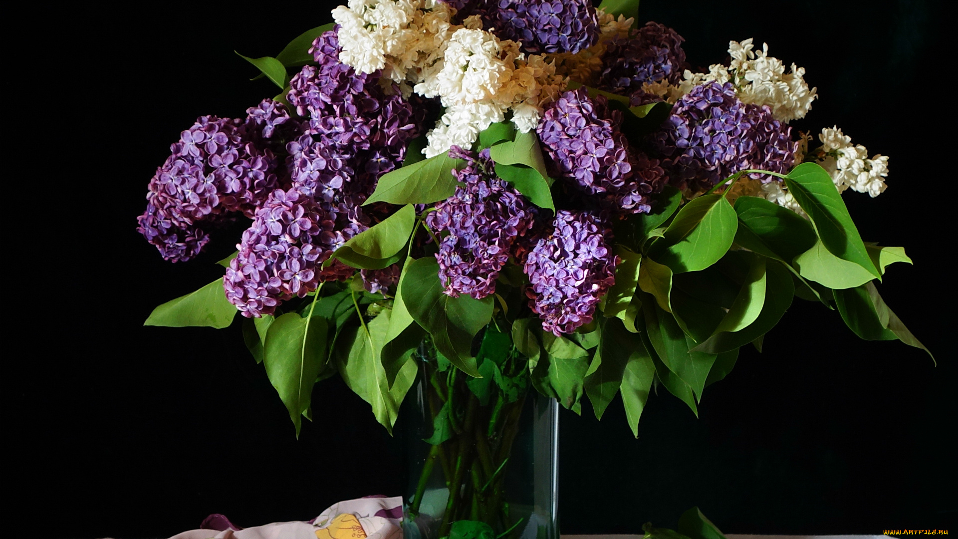 цветы, сирень, ваза, букет, платок, белый, лиловый